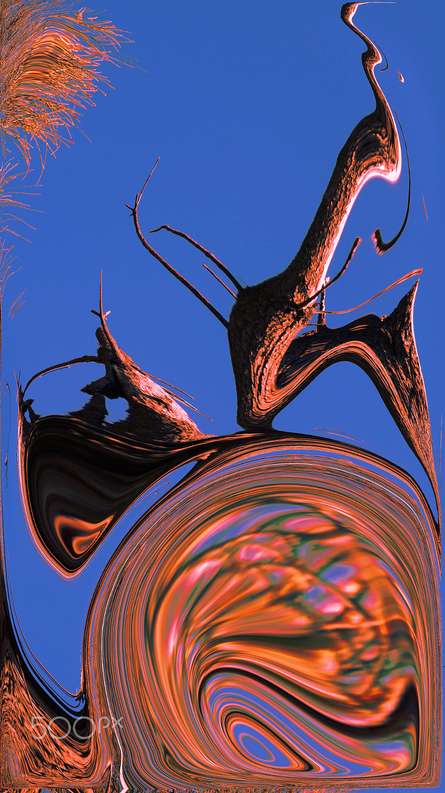 Sony FE 28-70mm F3.5-5.6 OSS sample photo. Outback psychedelia photography