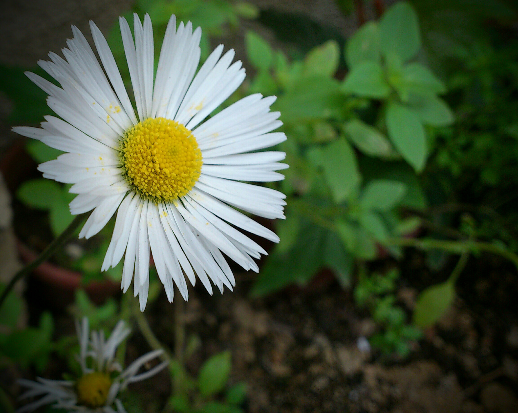 Sony Ericsson Xperia arc S sample photo