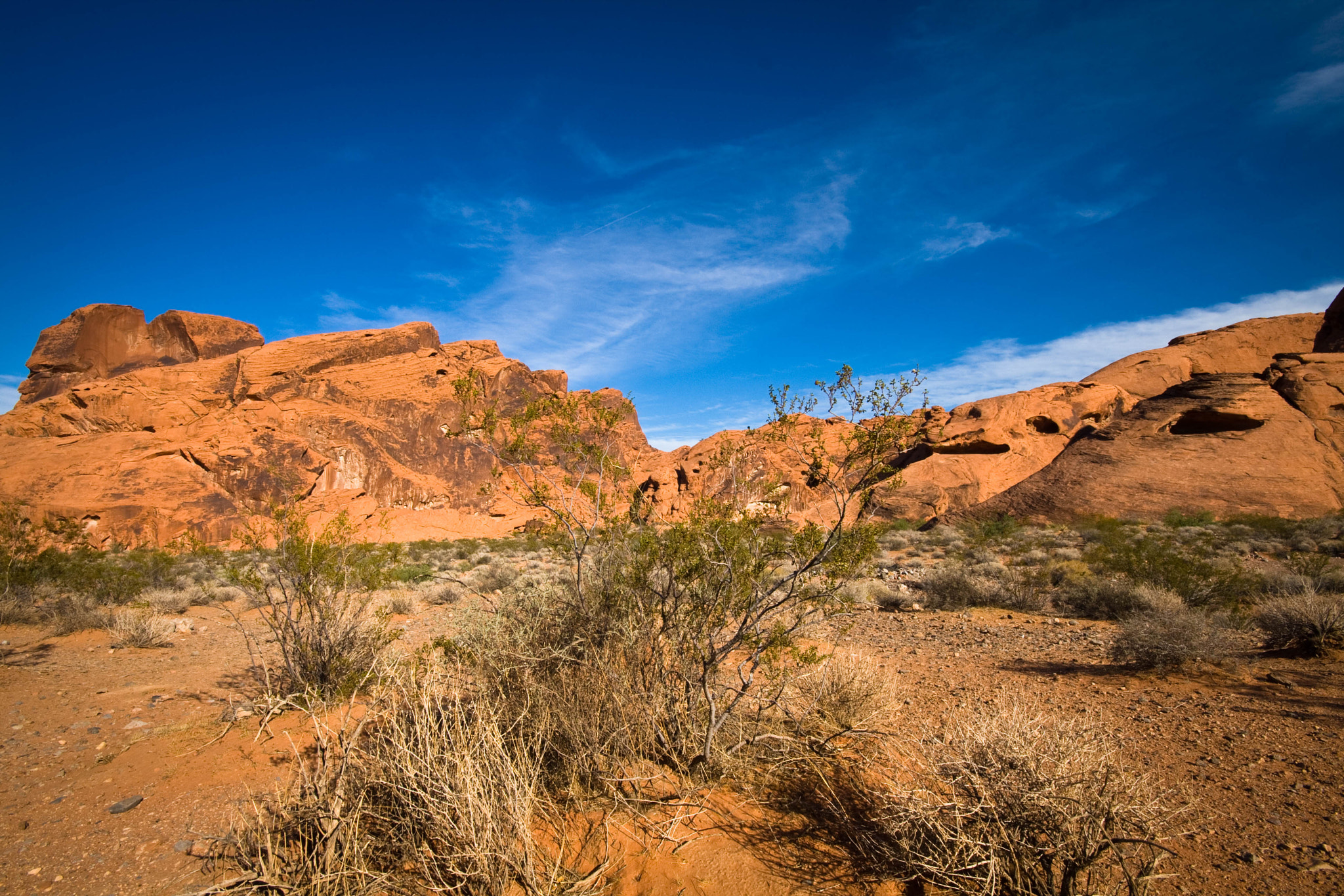 Canon EOS 40D sample photo. American desert photography