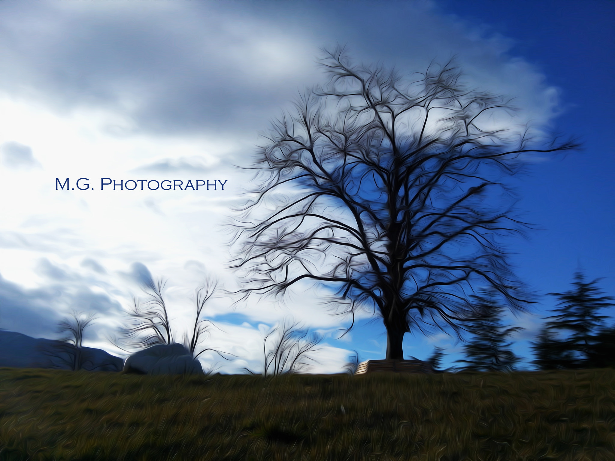 LG G Pro Lite sample photo. 18.jpg photography