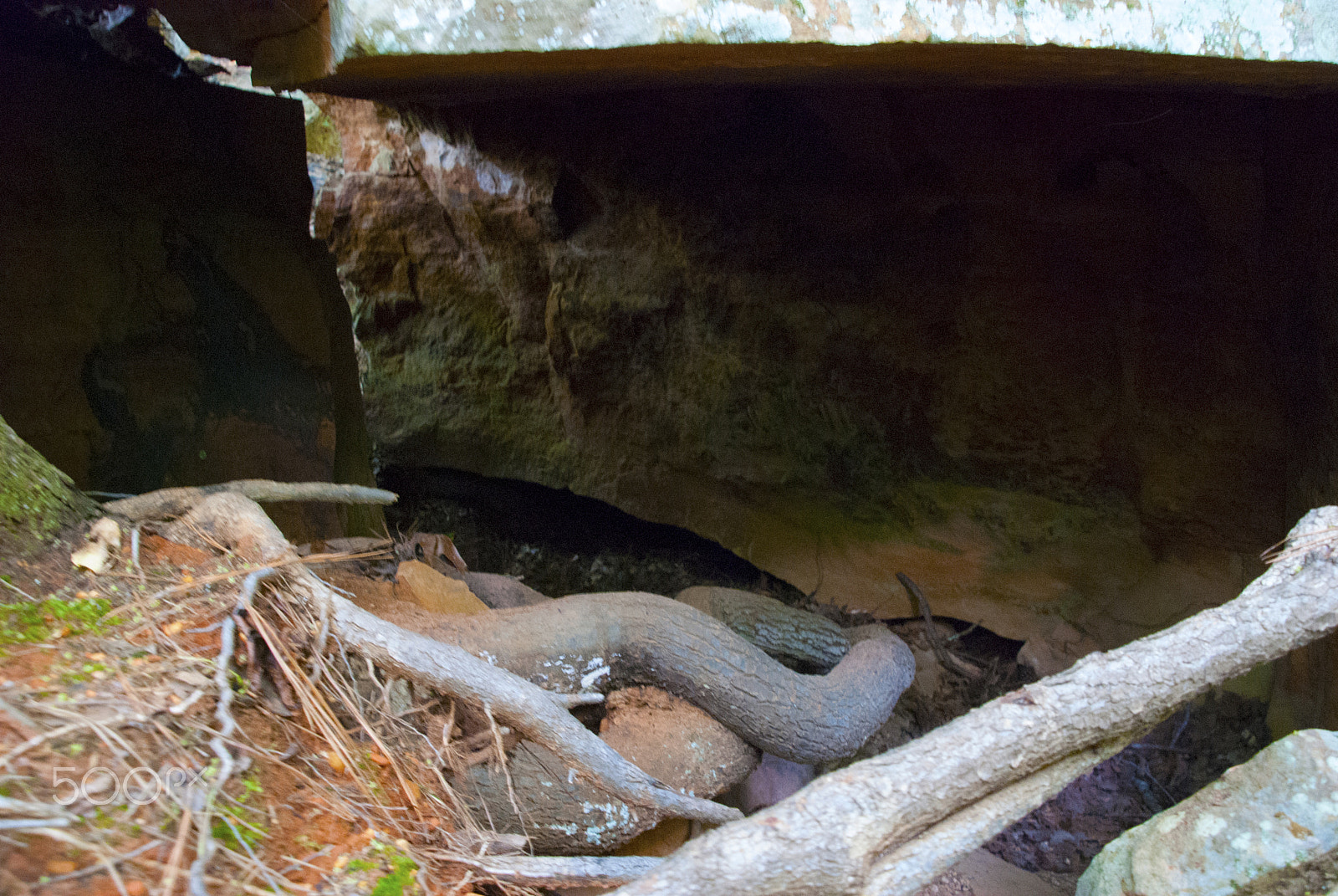 Nikon D40X sample photo. Tishomingo saddleback ridge trail three photography