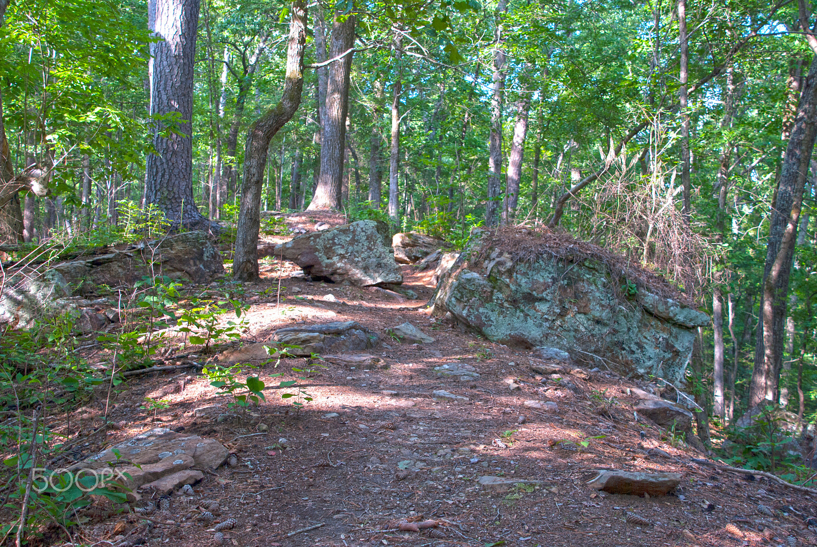 Nikon D40X sample photo. Tishomingo saddleback ridge trail two photography