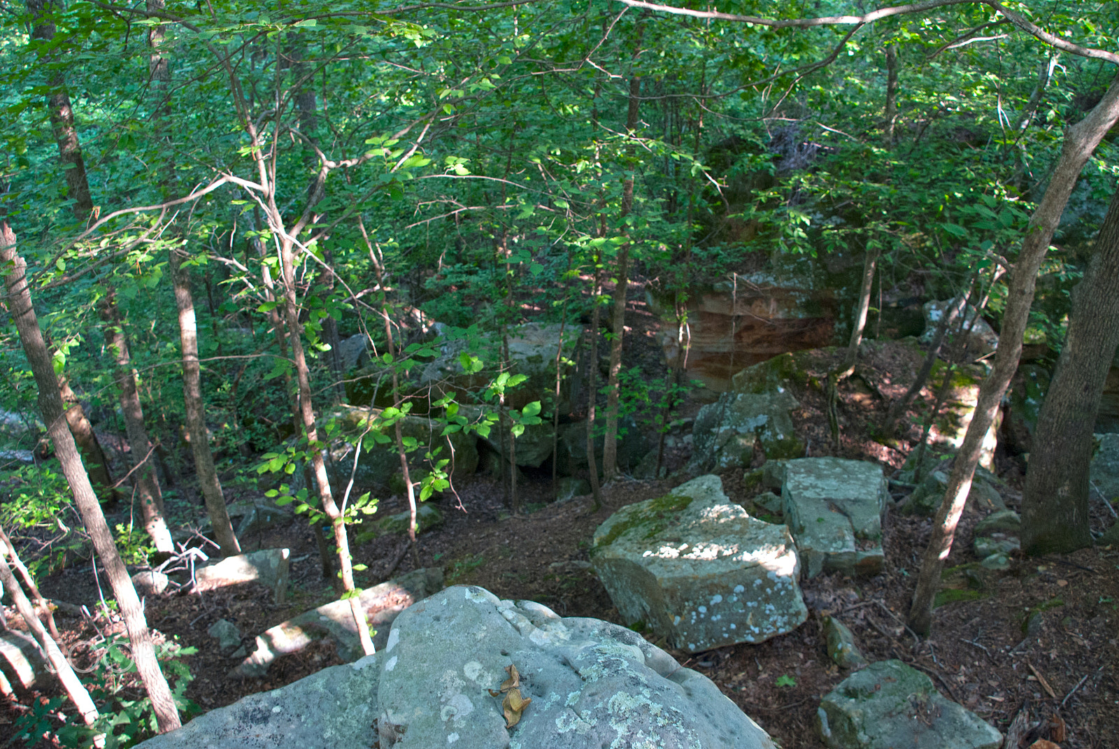 Nikon D40X sample photo. Tishomingo saddleback ridge view photography