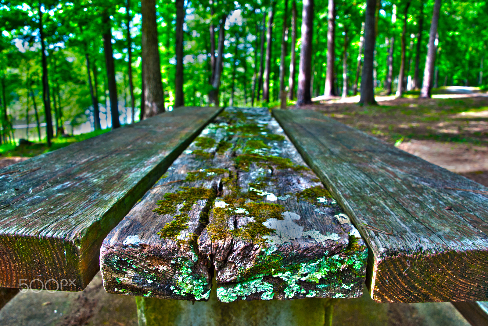Nikon D40X sample photo. Tishomingo table photography