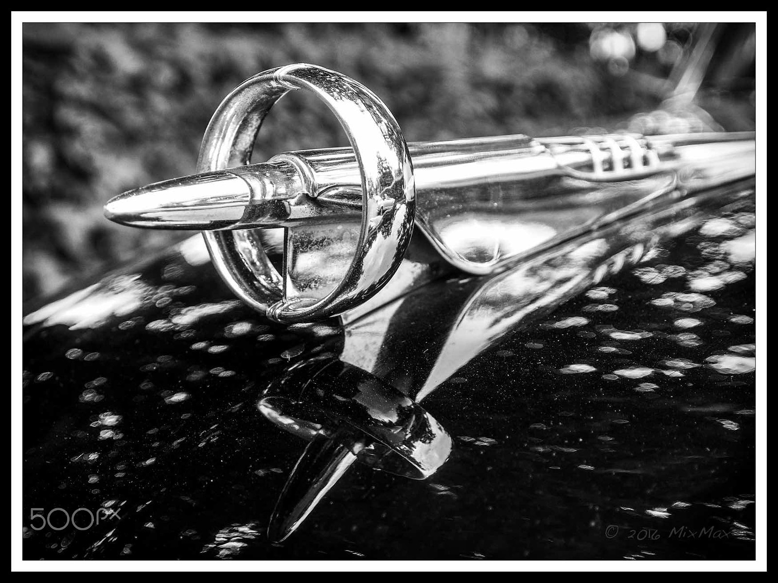 Olympus Zuiko Digital 14-54mm F2.8-3.5 II sample photo. Hood ornament photography