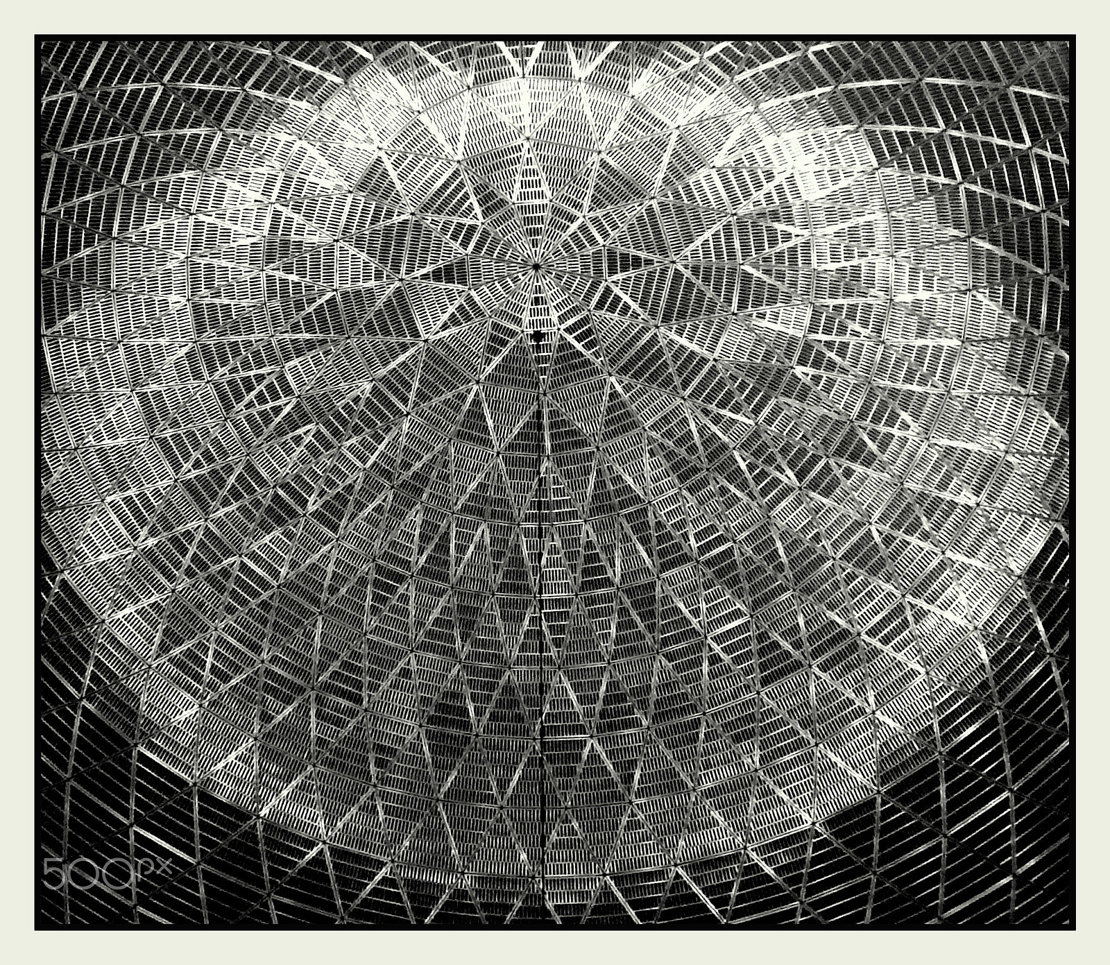 Ricoh WG-4 sample photo. Form of gratitude 1945 photography