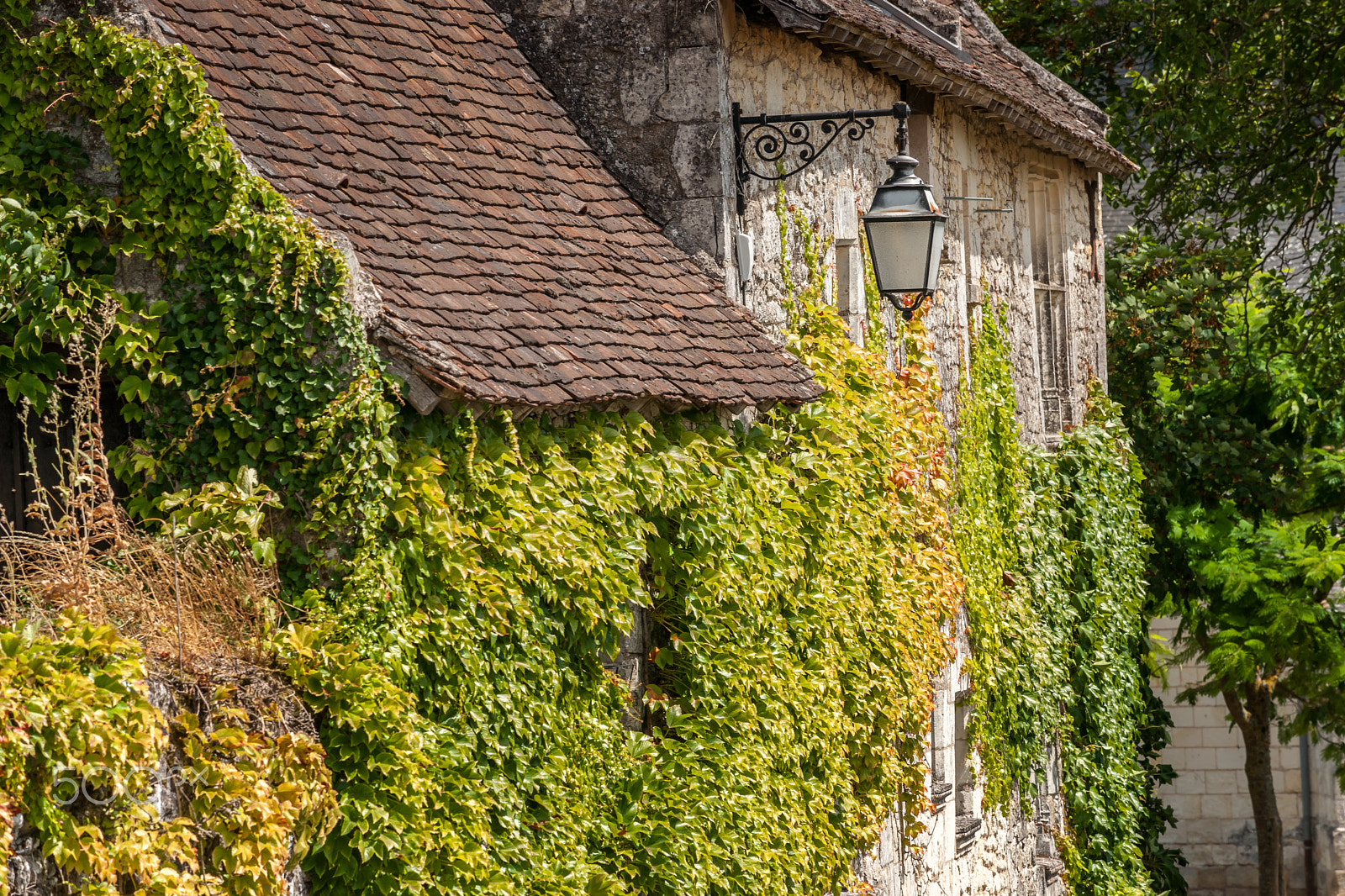 Sony Alpha DSLR-A900 + Minolta/Sony AF 70-200mm F2.8 G sample photo. Scene in crissay sur manse, village in the loire valley photography