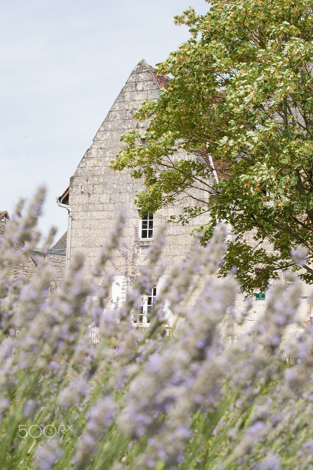Minolta/Sony AF 70-200mm F2.8 G sample photo. France loire photography photo image stock photography