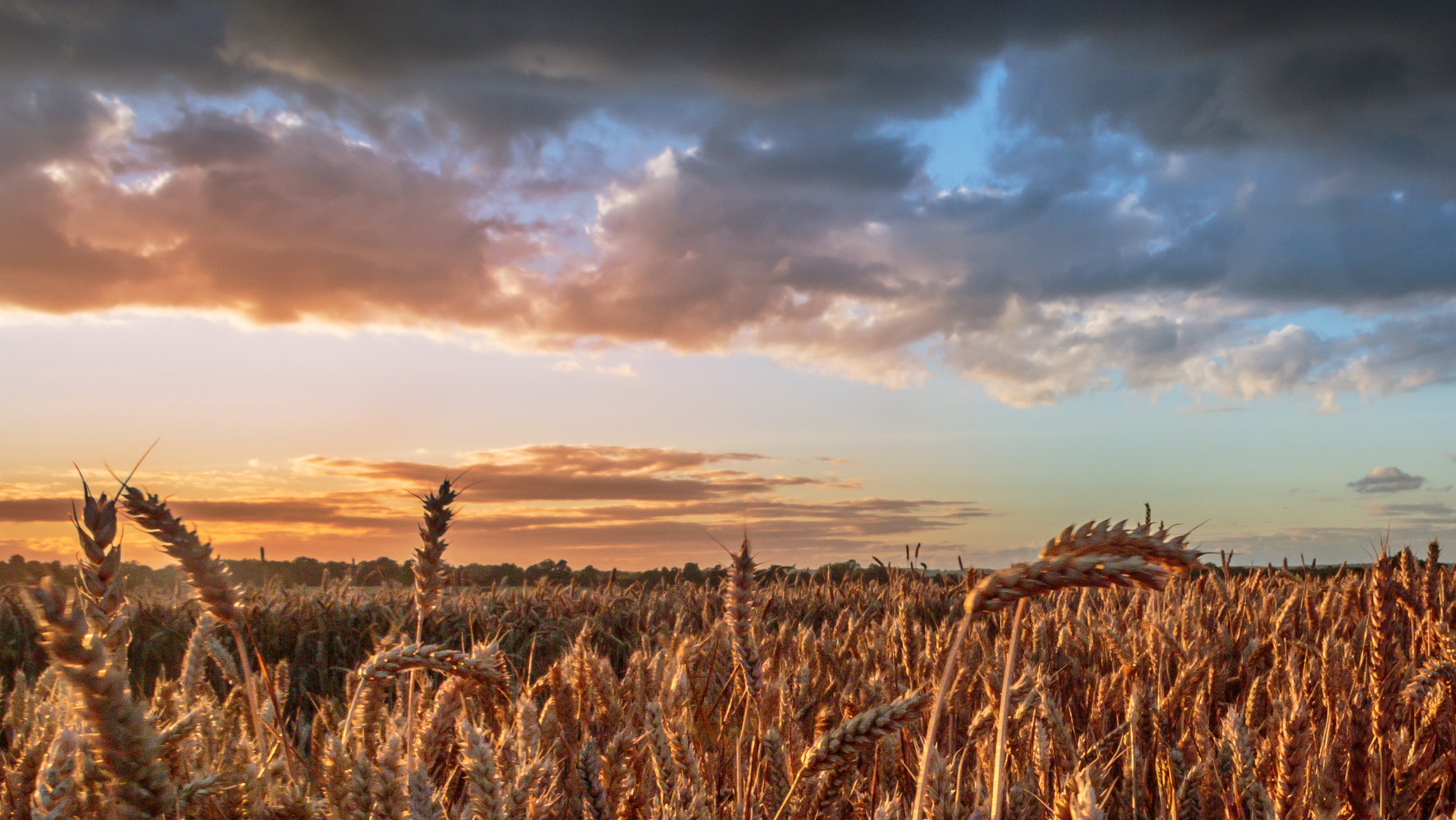 Sigma 18-50mm F2.8-4.5 DC OS HSM sample photo. Summer harvest photography