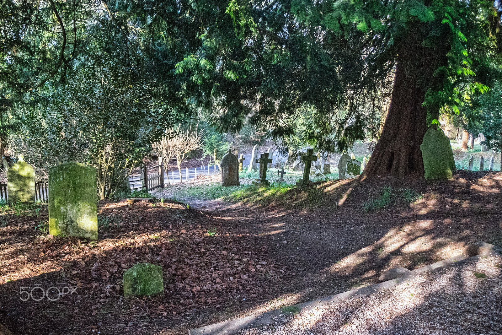 Sony DT 18-250mm F3.5-6.3 sample photo. Country graveyard photography