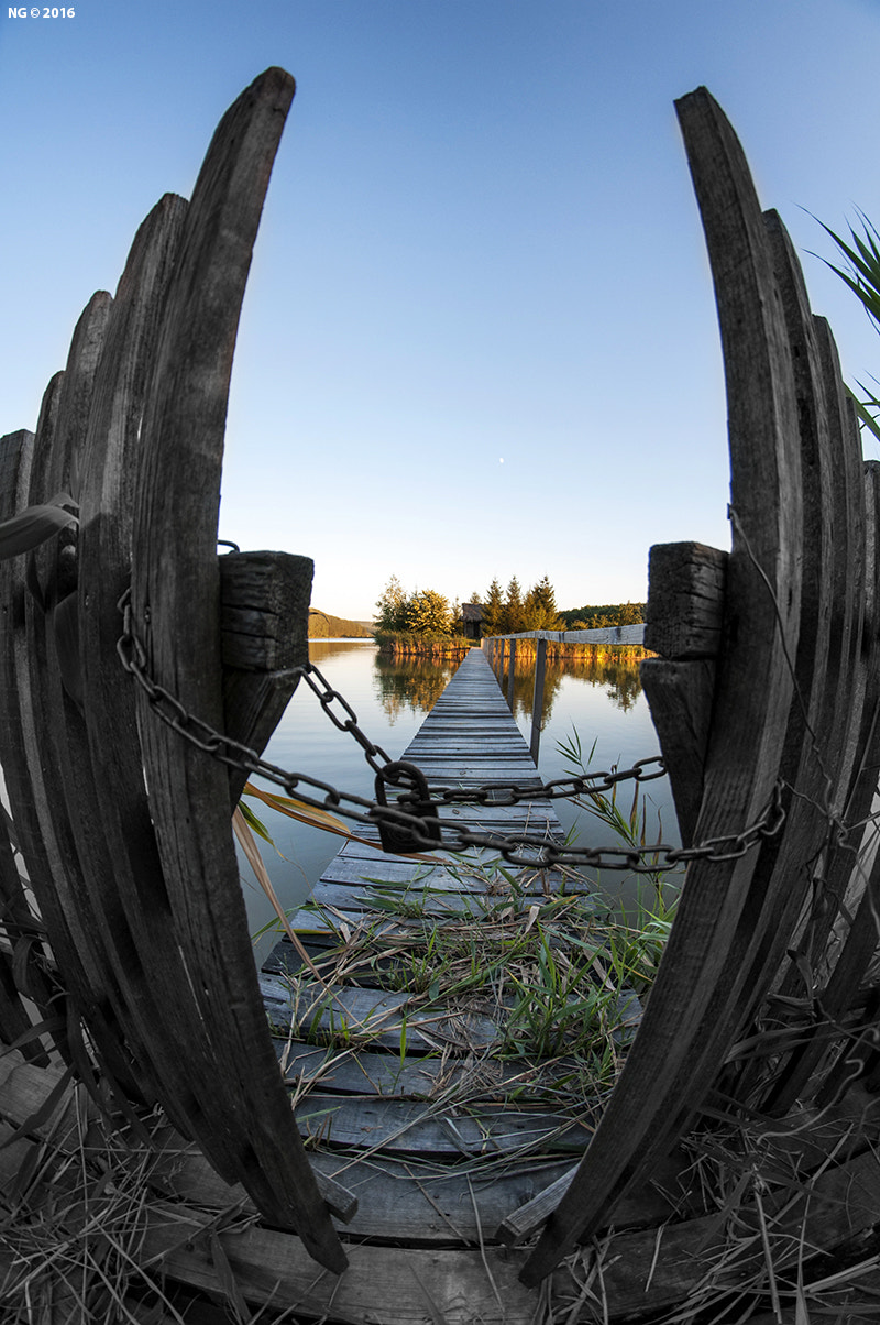 Nikon D90 + Samyang 8mm F3.5 Aspherical IF MC Fisheye sample photo. The way to paradise is close. photography