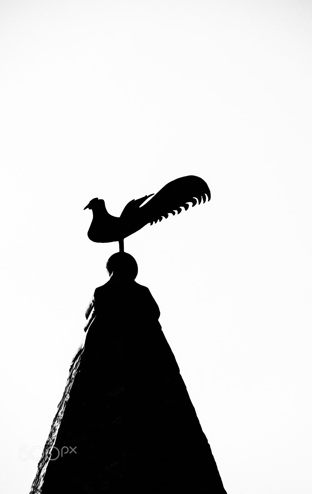 Sony DT 18-250mm F3.5-6.3 sample photo. Church spire wind vane photography