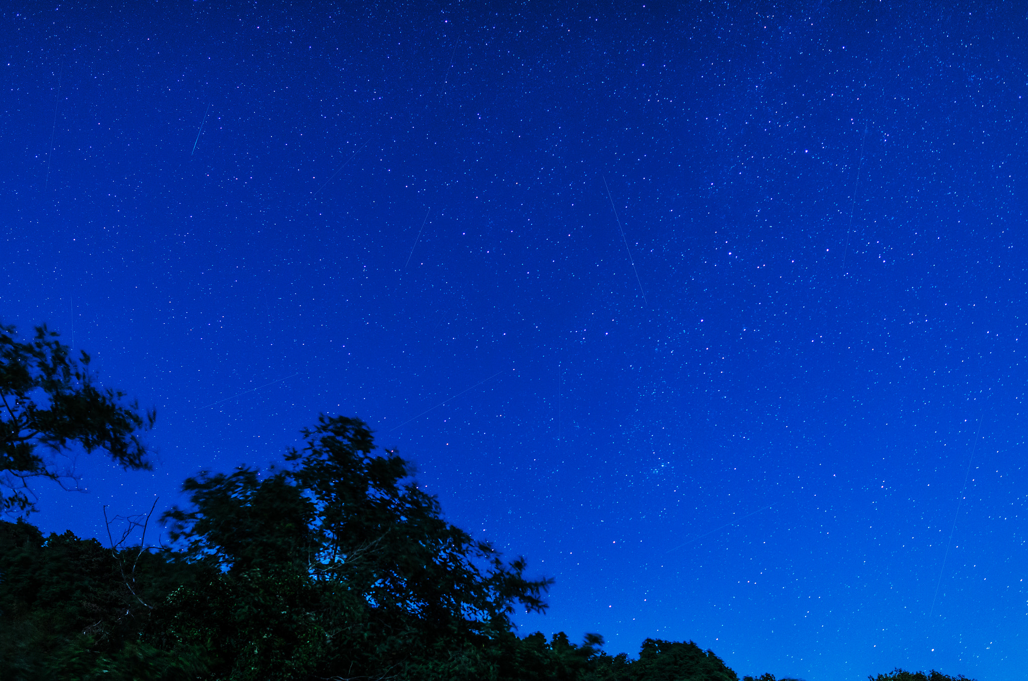 Canon EOS 70D + Sigma 24mm F1.4 DG HSM Art sample photo. Shooting stars above liguria perseid meteor shower photography