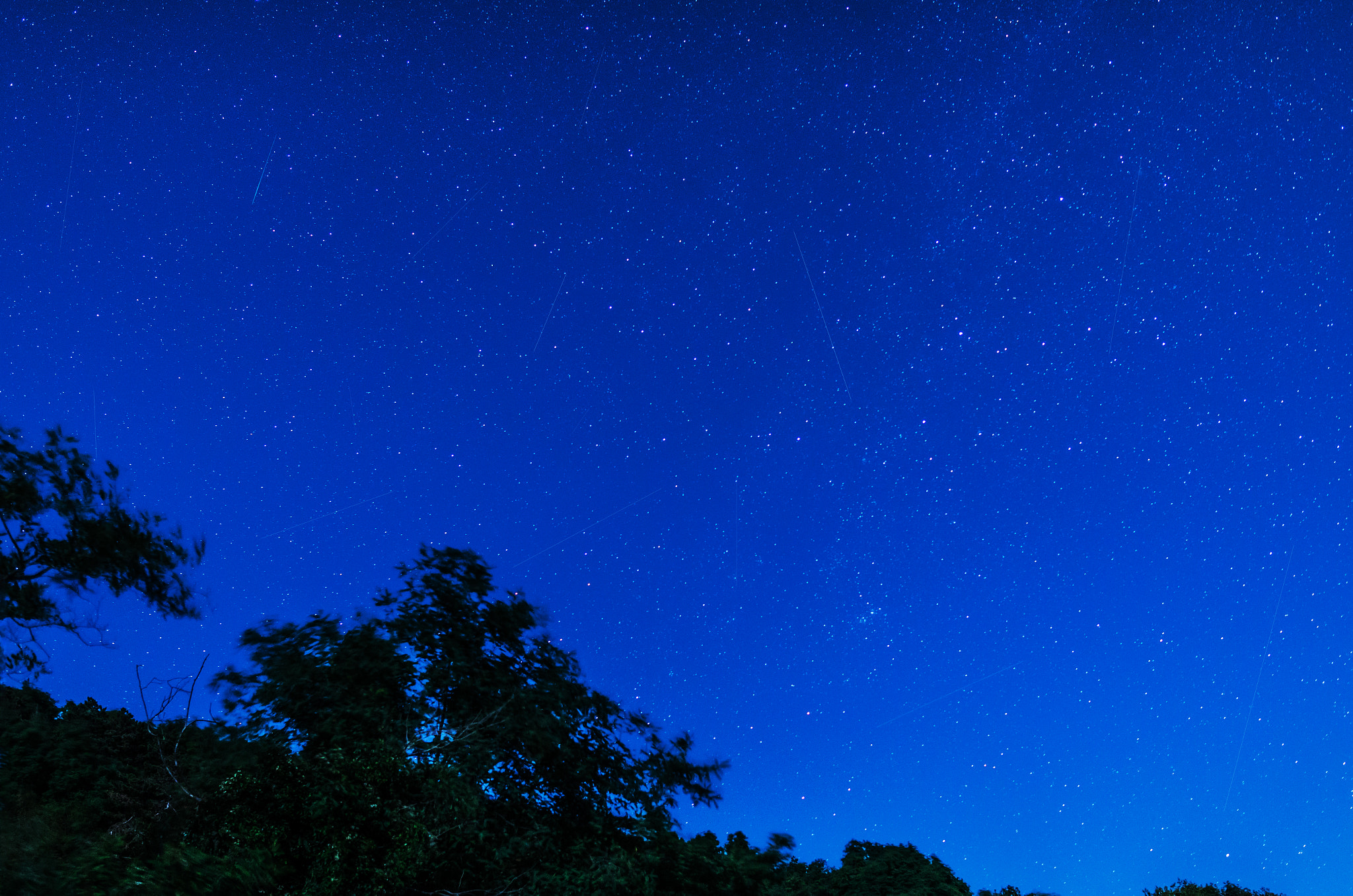 Sigma 24mm F1.4 DG HSM Art sample photo. Shooting stars above liguria perseid meteor shower photography