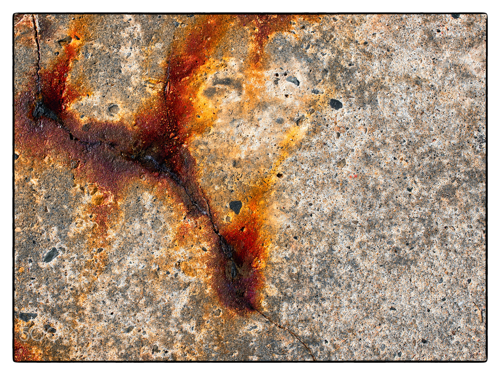 Olympus PEN E-PL3 sample photo. Bleeding wounds photography