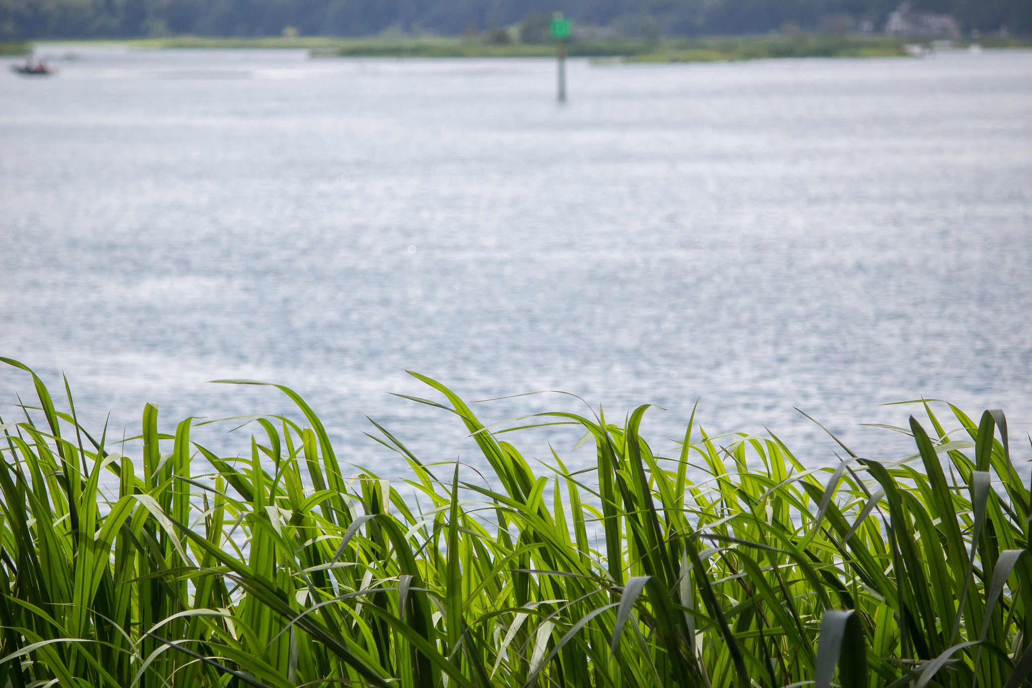 Canon EOS 100D (EOS Rebel SL1 / EOS Kiss X7) sample photo. Mepkin abbey | moncks corner | south carolina photography