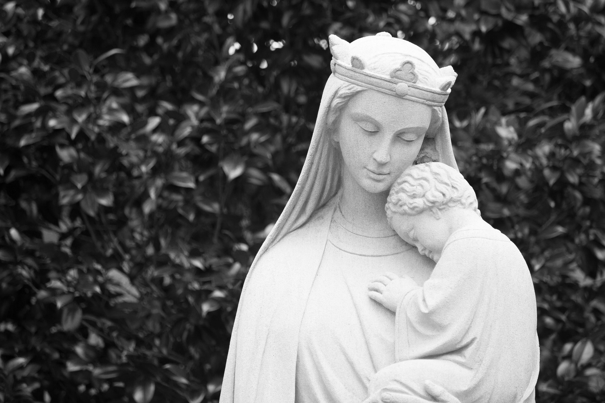 Canon EOS 100D (EOS Rebel SL1 / EOS Kiss X7) sample photo. Mepkin abbey | moncks corner | south carolina photography