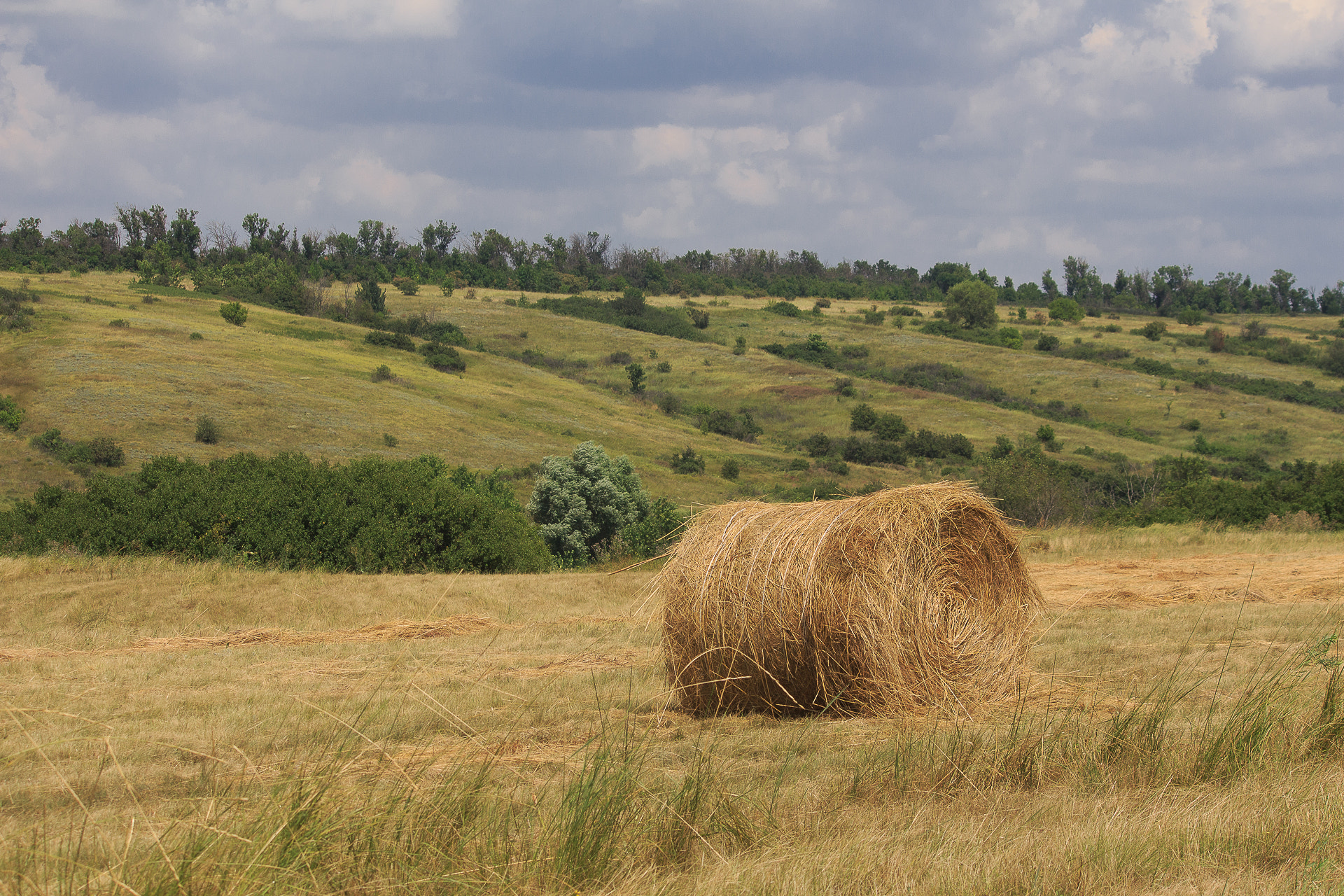 Canon EF-S 55-250mm F4-5.6 IS sample photo. Haymaking photography