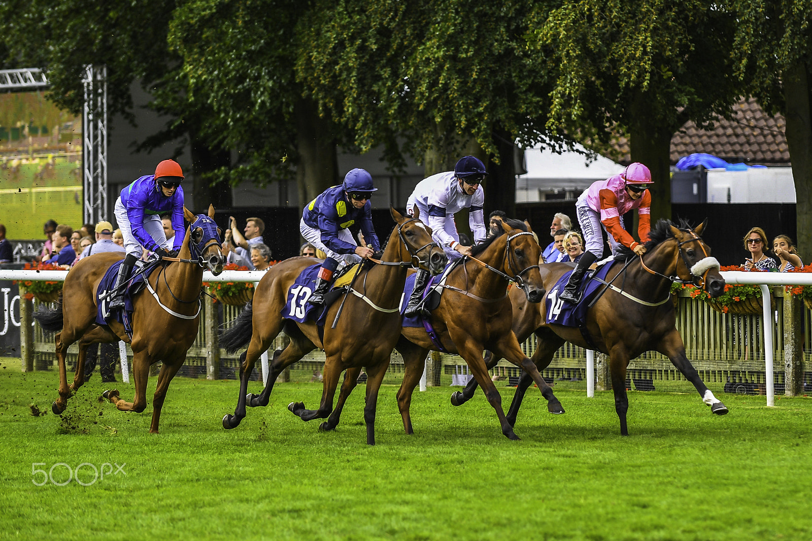 Nikon D5 sample photo. The finishing post, photography