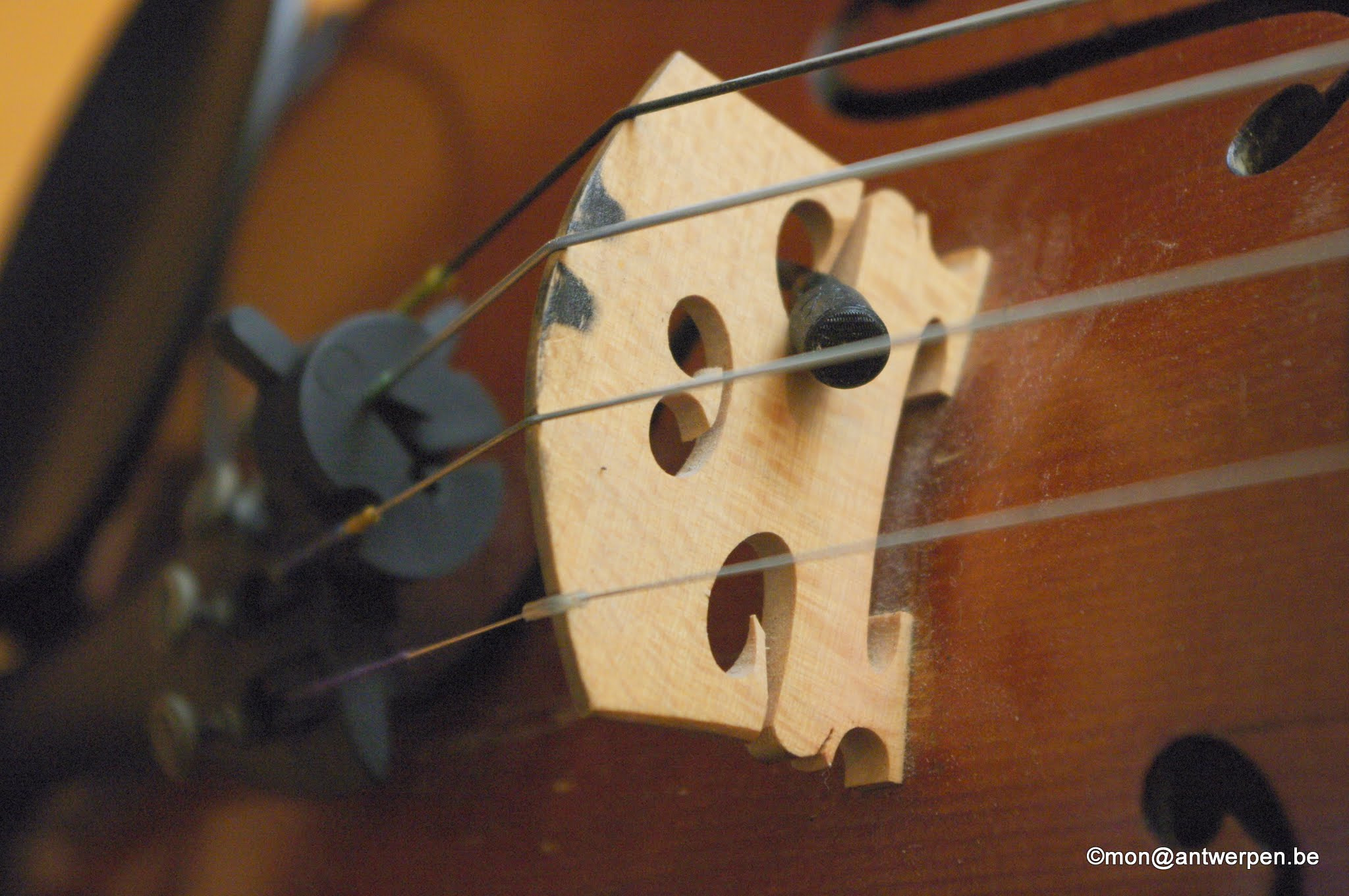 Pentax K-7 sample photo