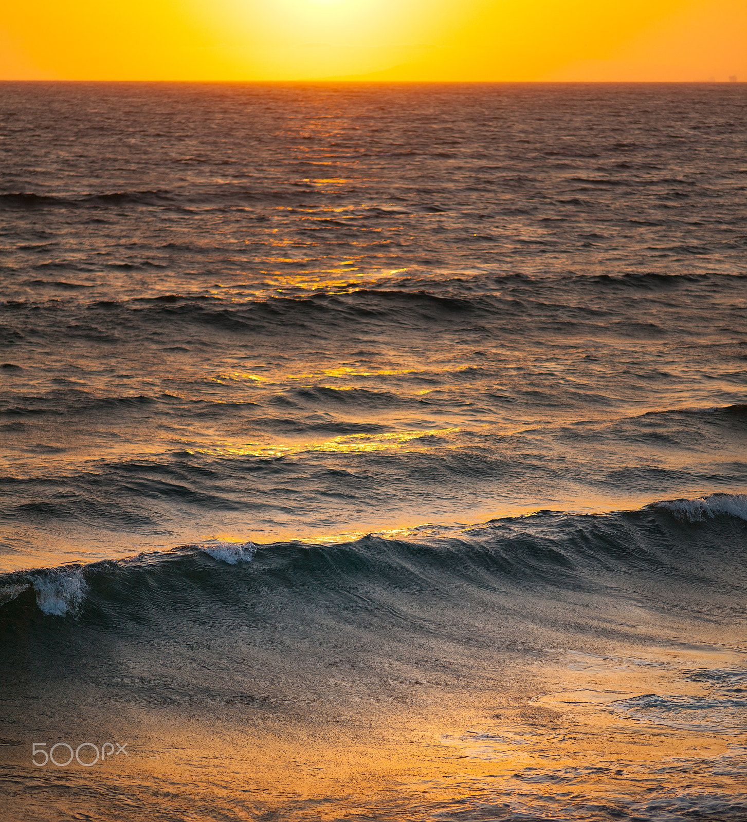 ZEISS Makro-Planar T* 100mm F2 sample photo. The wave photography