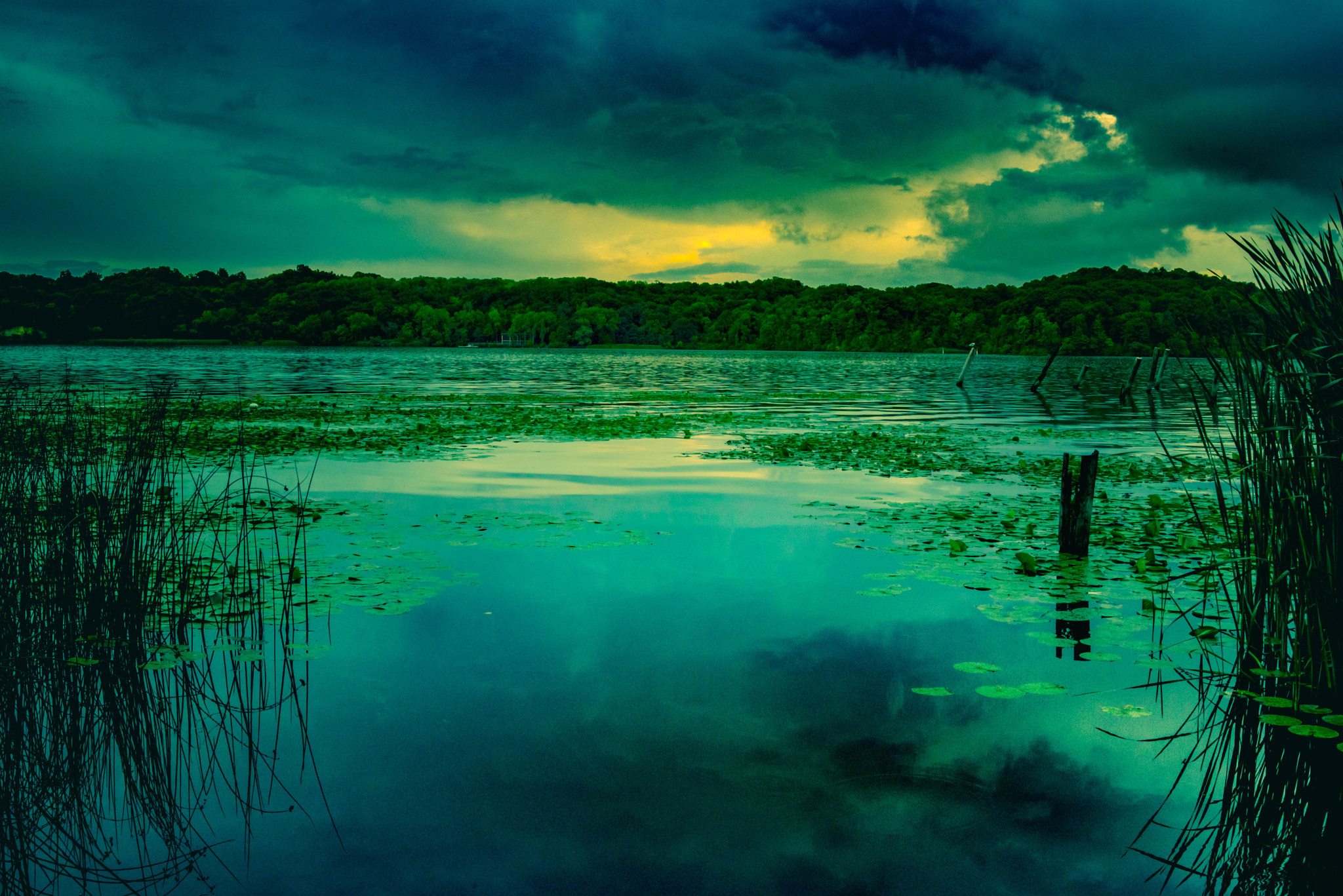 Nikon D750 + Samyang 35mm F1.4 AS UMC sample photo. Irondequoit bay photography