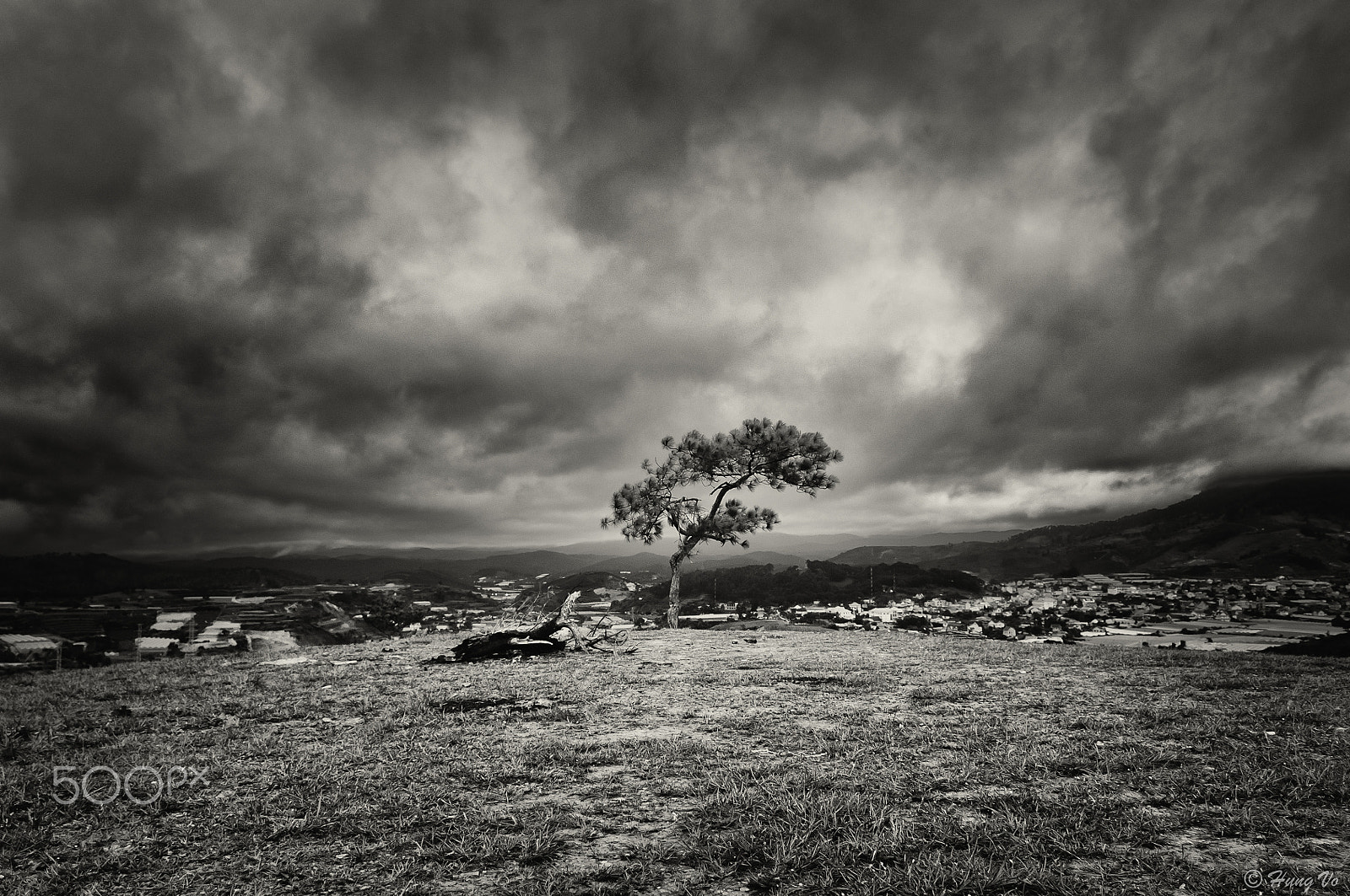 Nikon D300 sample photo. Alone in the sky. photography