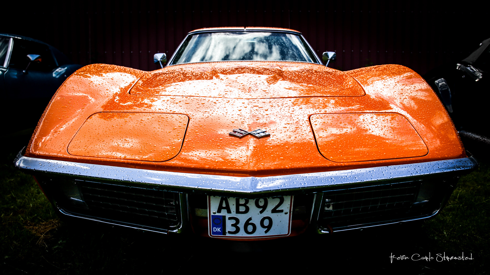 Canon EF 24-70mm F4L IS USM sample photo. Stingray photography