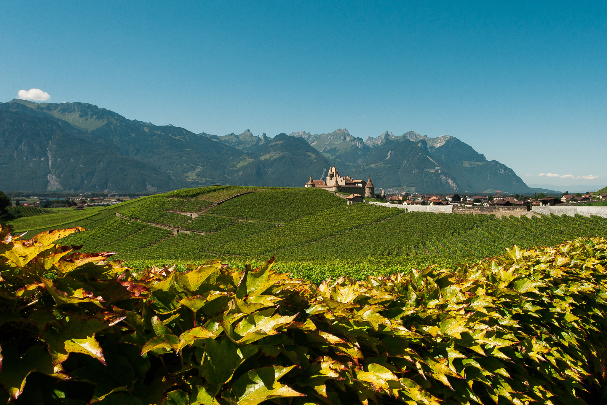 Nikon D3 sample photo. Aigle burg photography