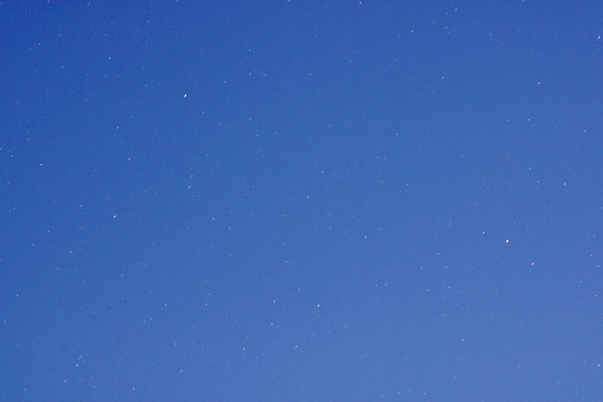 Canon EF 70-300mm F4-5.6 IS USM sample photo. () photography