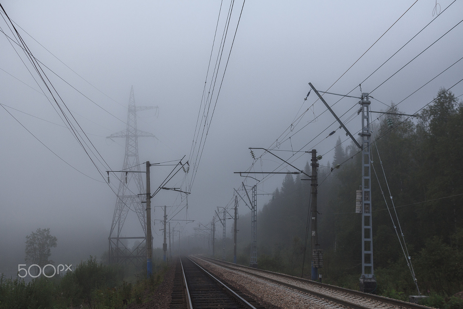 Sigma 18-50mm F2.8-4.5 DC OS HSM sample photo. Foggy morning photography