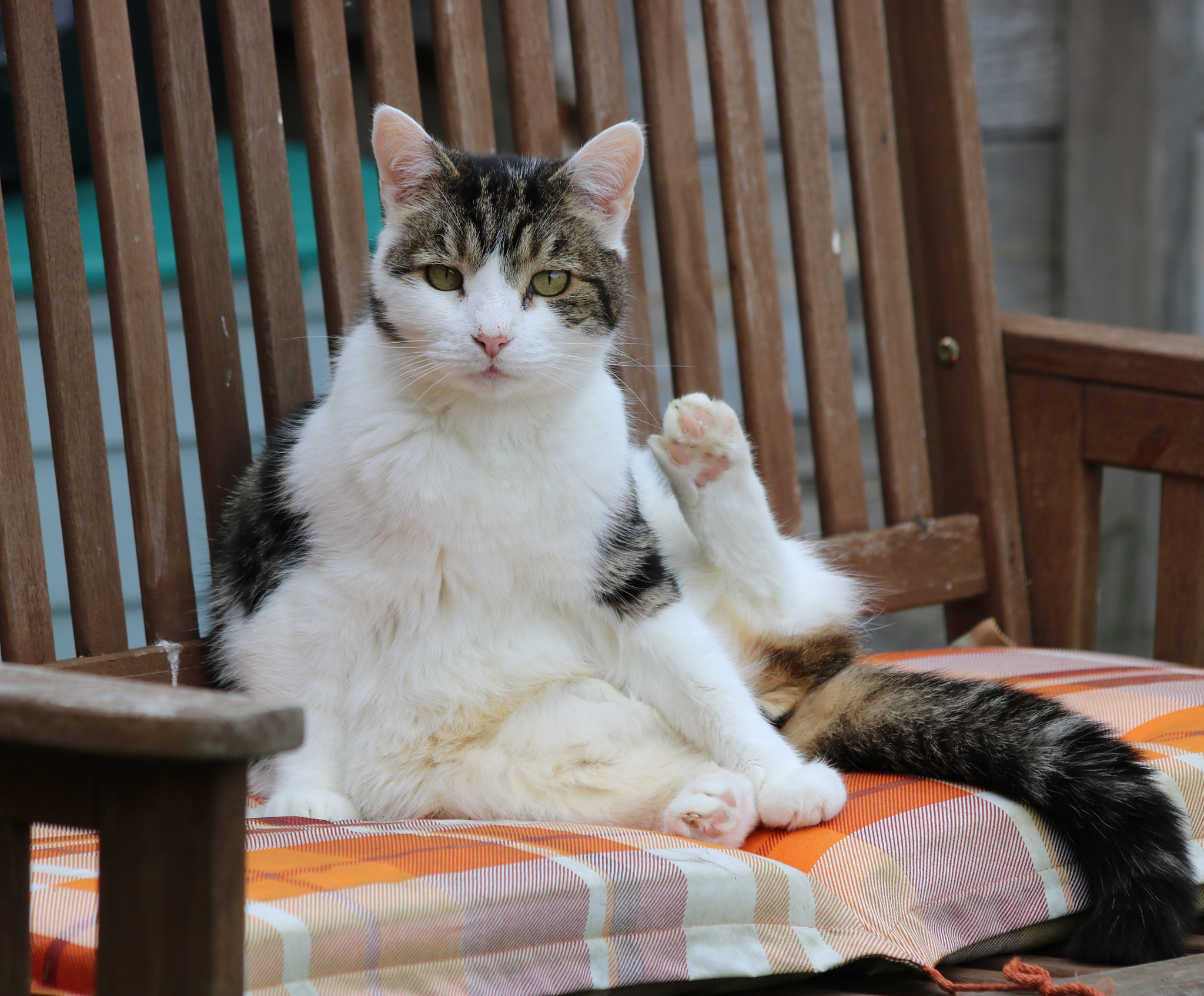 Canon EF 70-300mm F4-5.6 IS USM sample photo. () photography
