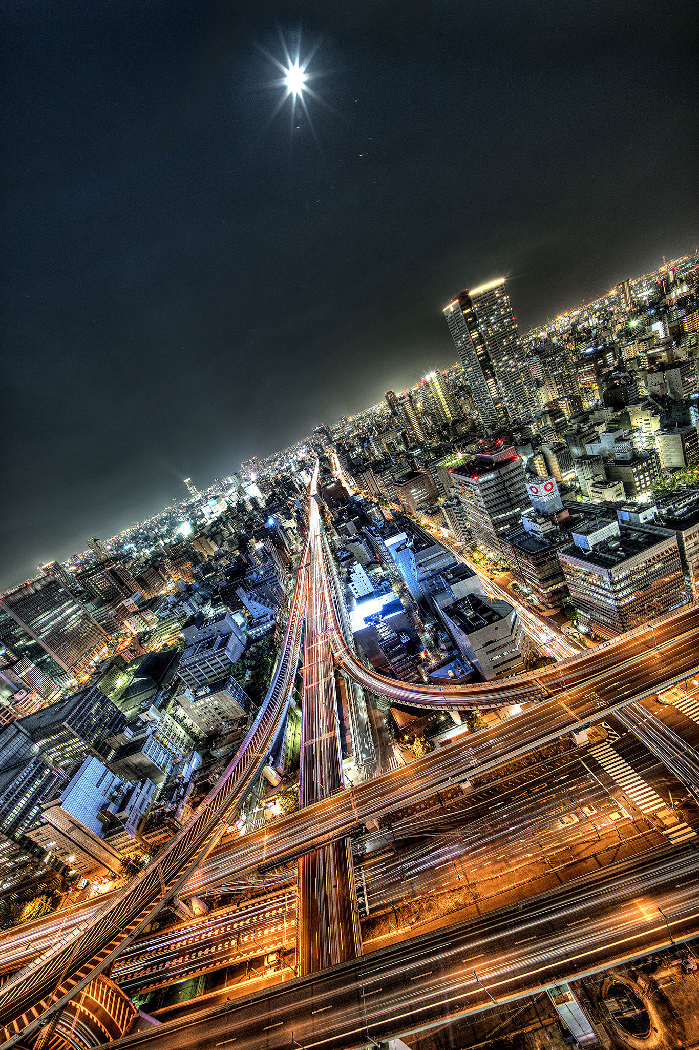 Voigtlander HELIAR-HYPER WIDE 10mm F5.6 sample photo. Close encounters photography