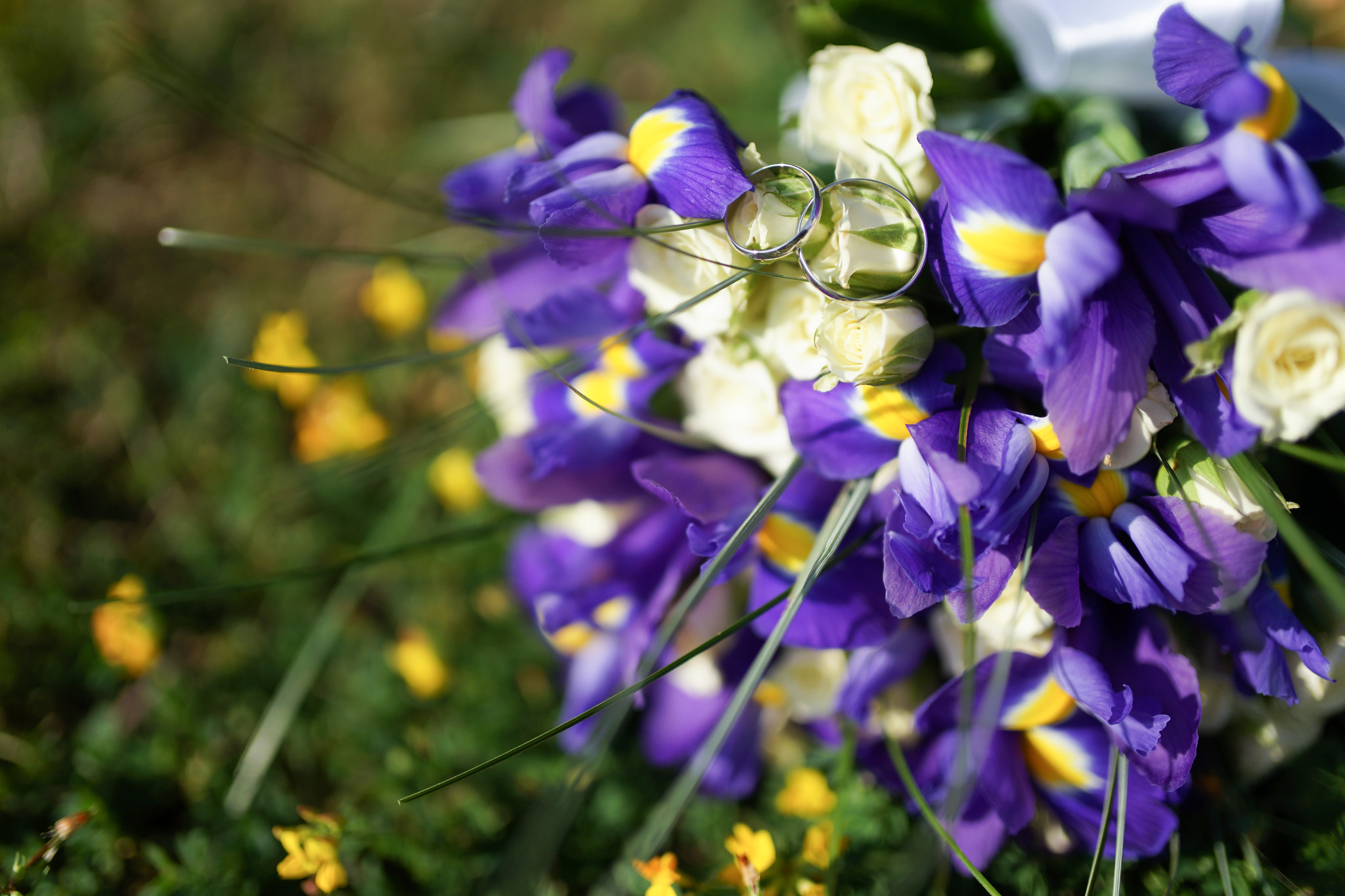 Sony a99 II + 35mm F1.4 sample photo. Flowers.jpg photography