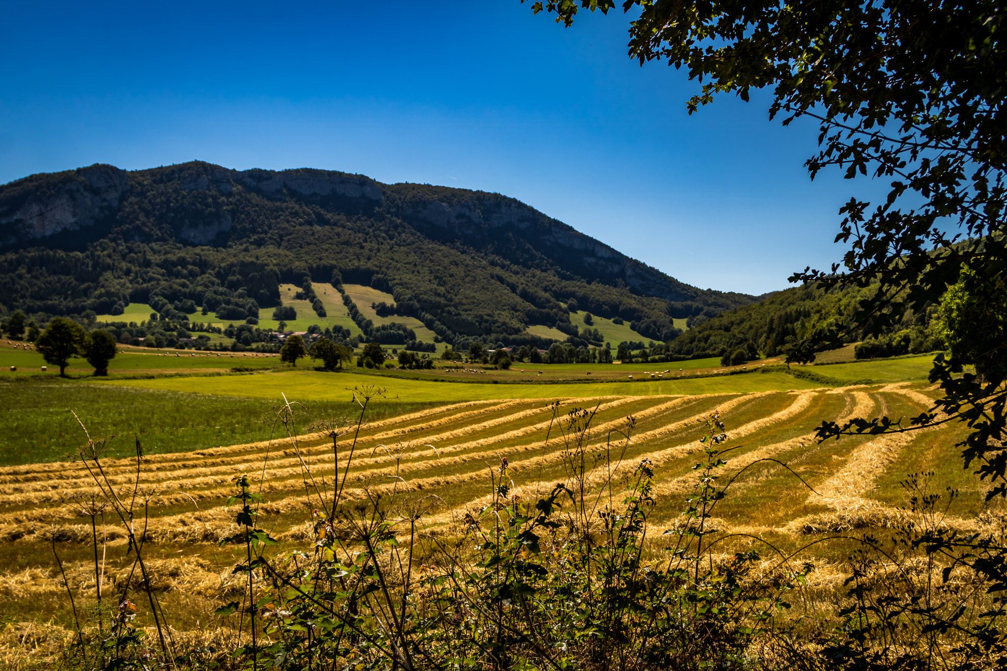 Canon EF 24-85mm F3.5-4.5 USM sample photo. Near la chapelle en vercors (france) photography
