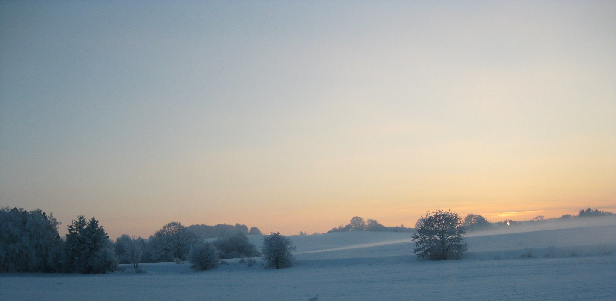 Canon DIGITAL IXUS 82 IS sample photo. Winter sun photography