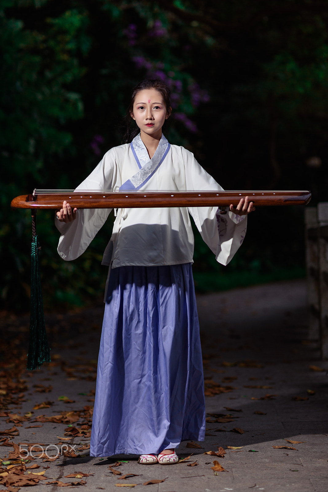 Nikon D750 + Nikon AF Nikkor 105mm F2D DC sample photo. Girl with ancient china instrument photography