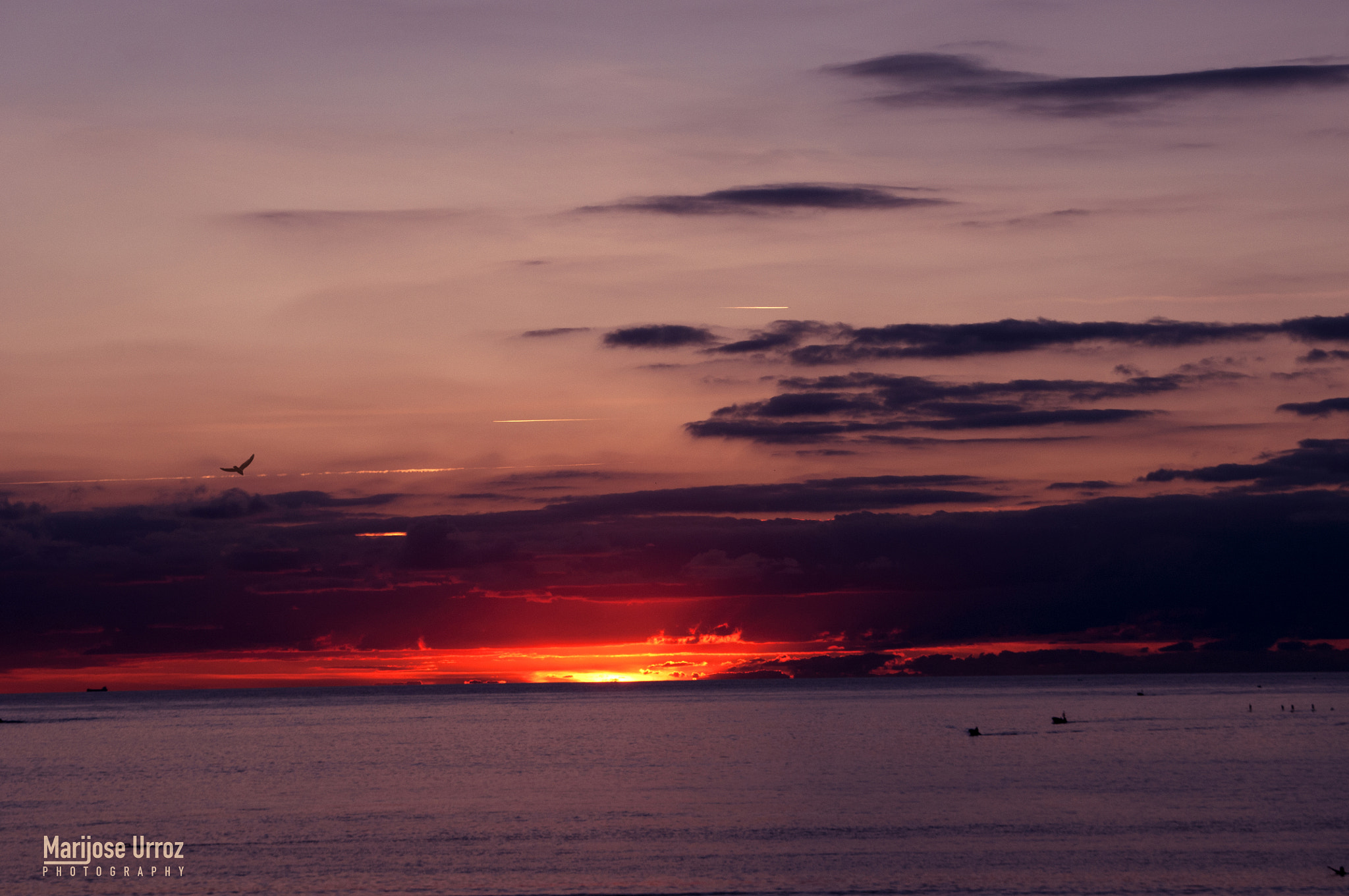 Nikon D300 sample photo. Boats photography