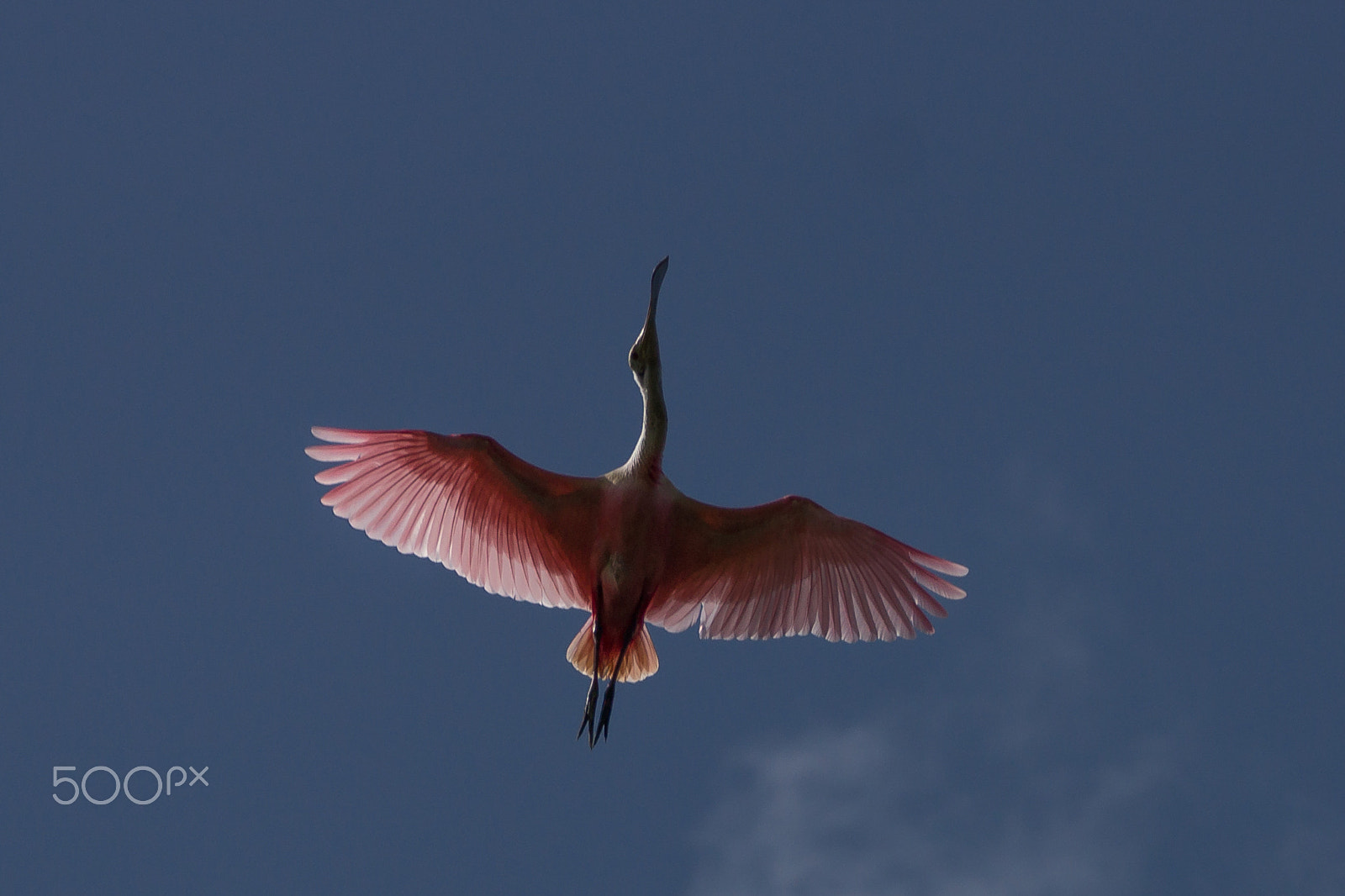 Sony 70-300mm F4.5-5.6 G SSM sample photo. Skyway to heaven photography