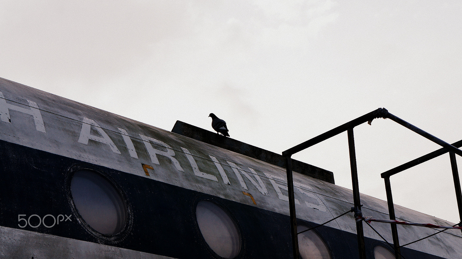 Sony E 18-55mm F3.5-5.6 OSS sample photo. A bird and an airplane photography
