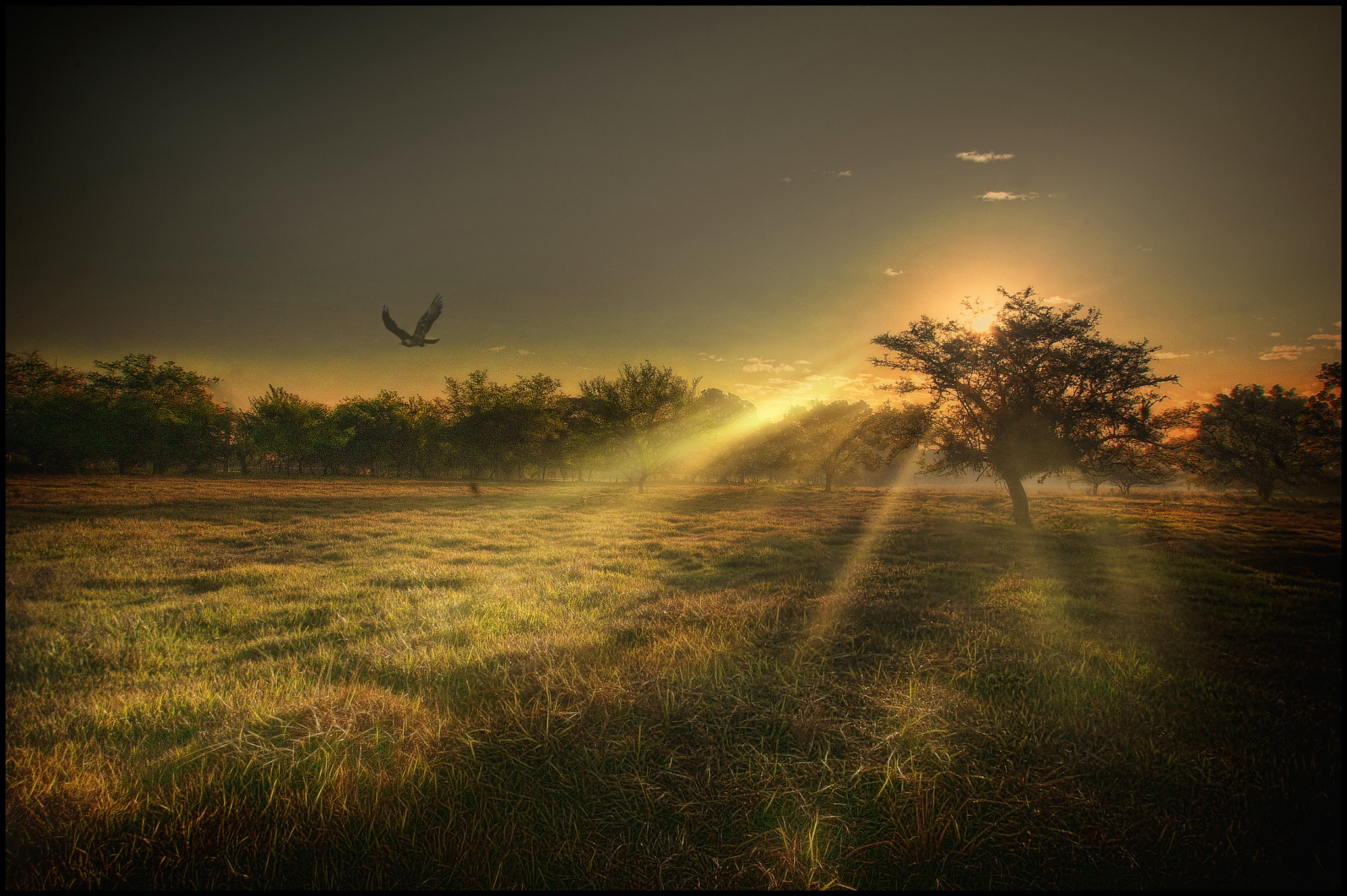 Sony DT 11-18mm F4.5-5.6 sample photo. Penumbras photography