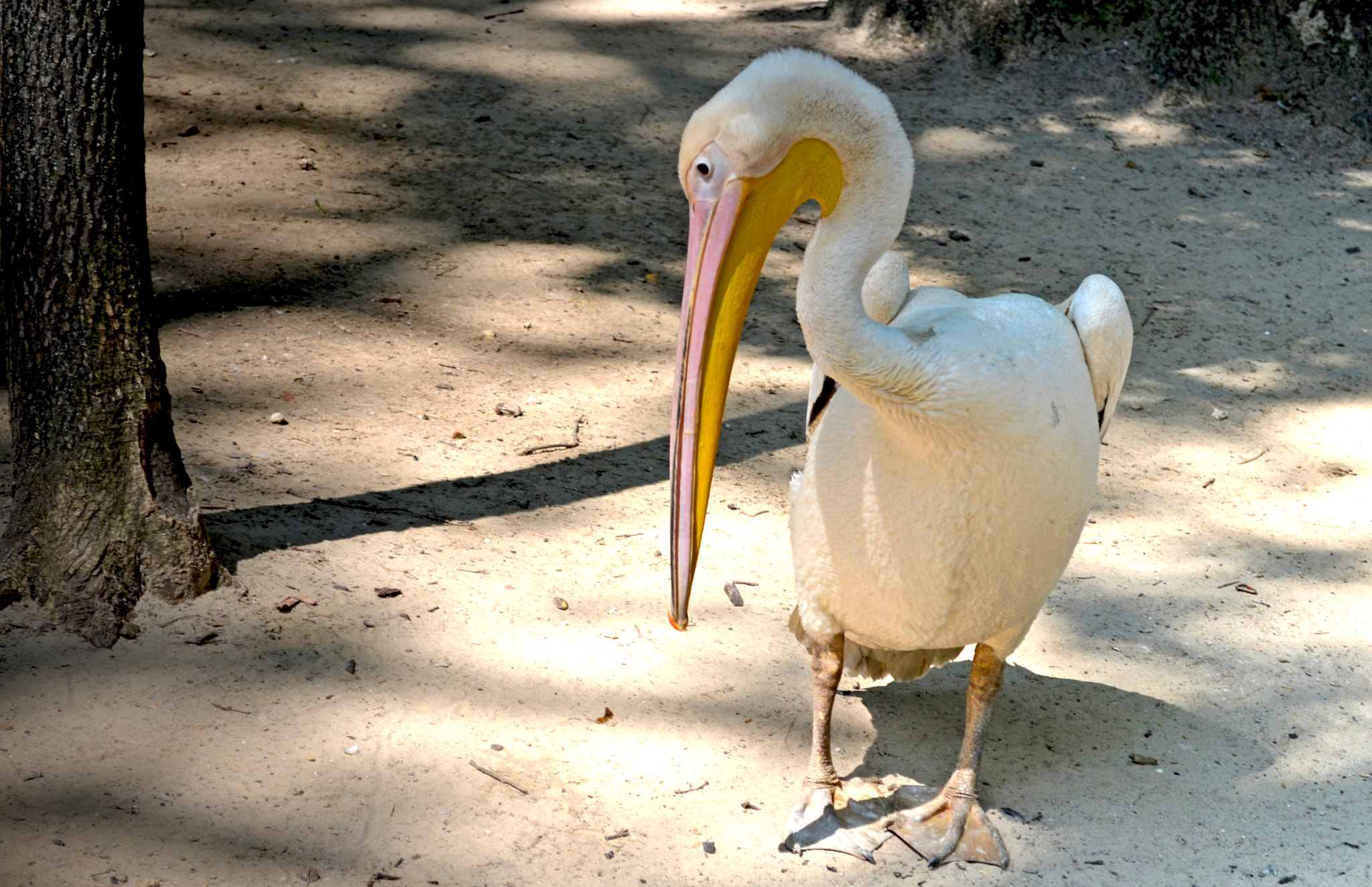 Nikon AF-S Nikkor 24-70mm F2.8G ED sample photo