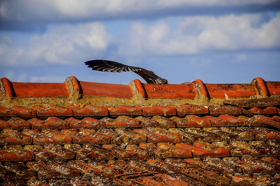 Nikon D300 sample photo. "göğe bakalım" photography