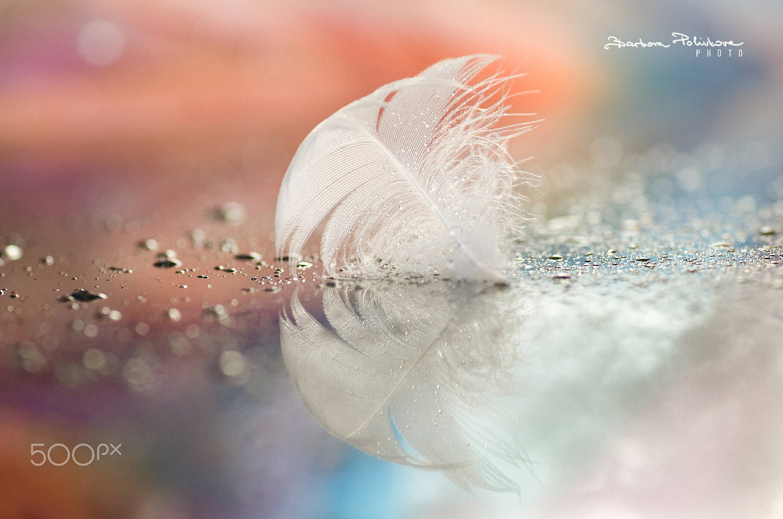 Nikon D300S sample photo. Touching the dream photography