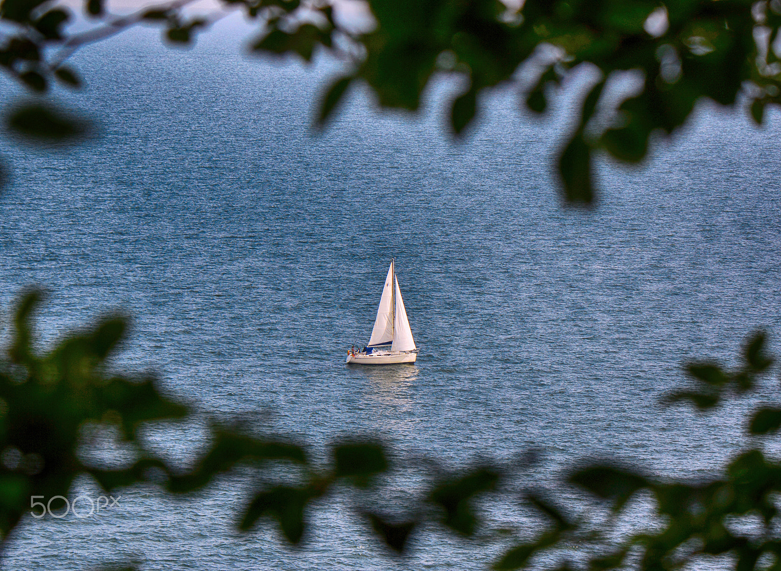 Nikon AF-S DX Micro-Nikkor 85mm F3.5G ED VR sample photo. Under sail photography