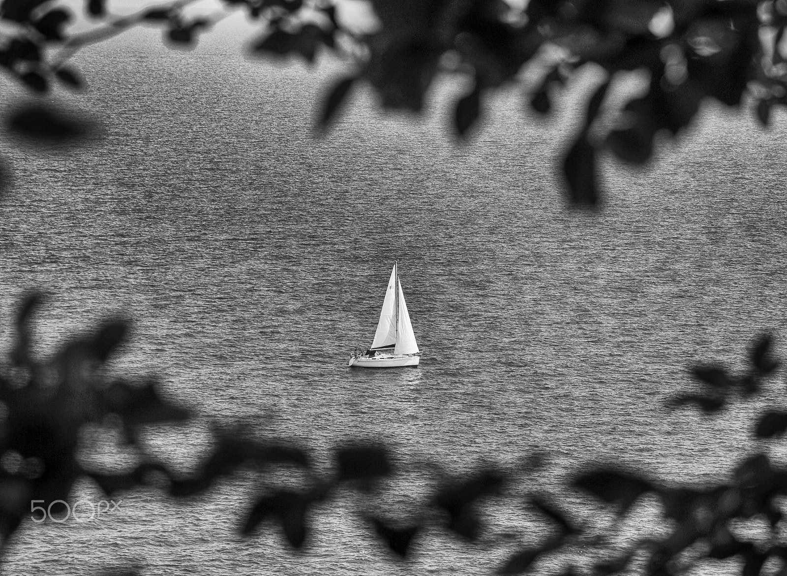 Nikon AF-S DX Micro-Nikkor 85mm F3.5G ED VR sample photo. Under sail photography