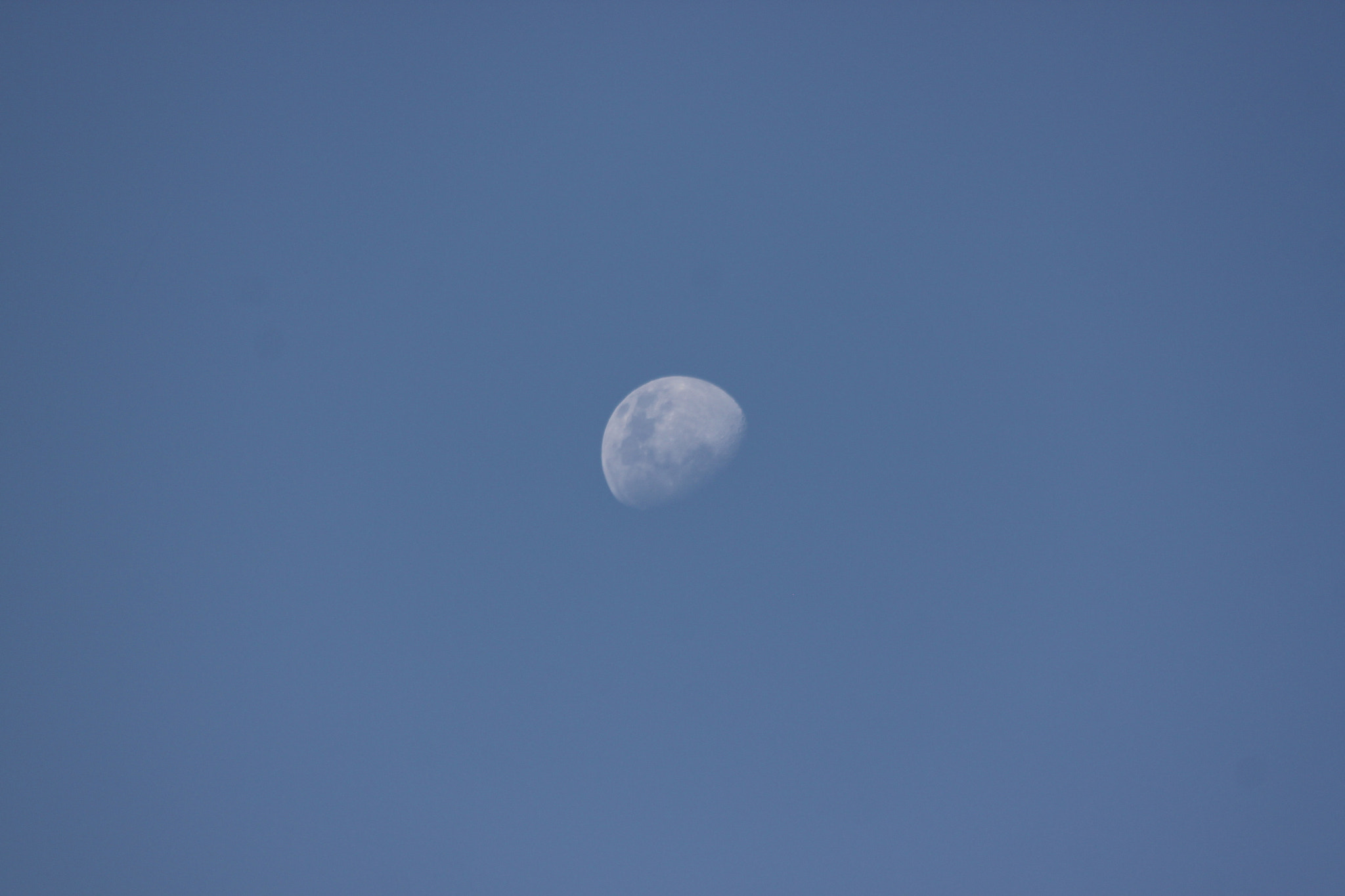 Canon EF 70-300mm F4-5.6 IS USM sample photo