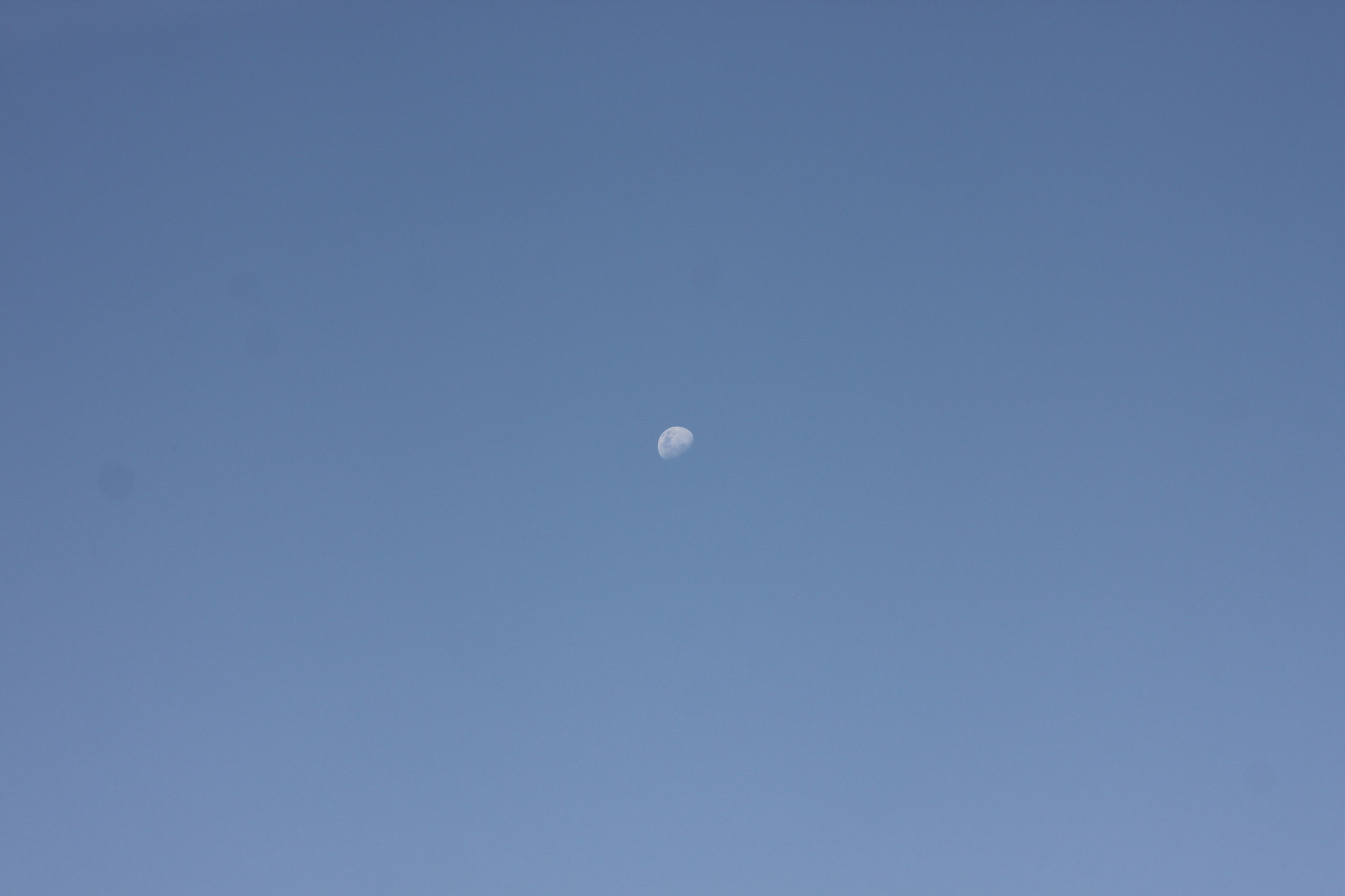 Canon EF 70-300mm F4-5.6 IS USM sample photo