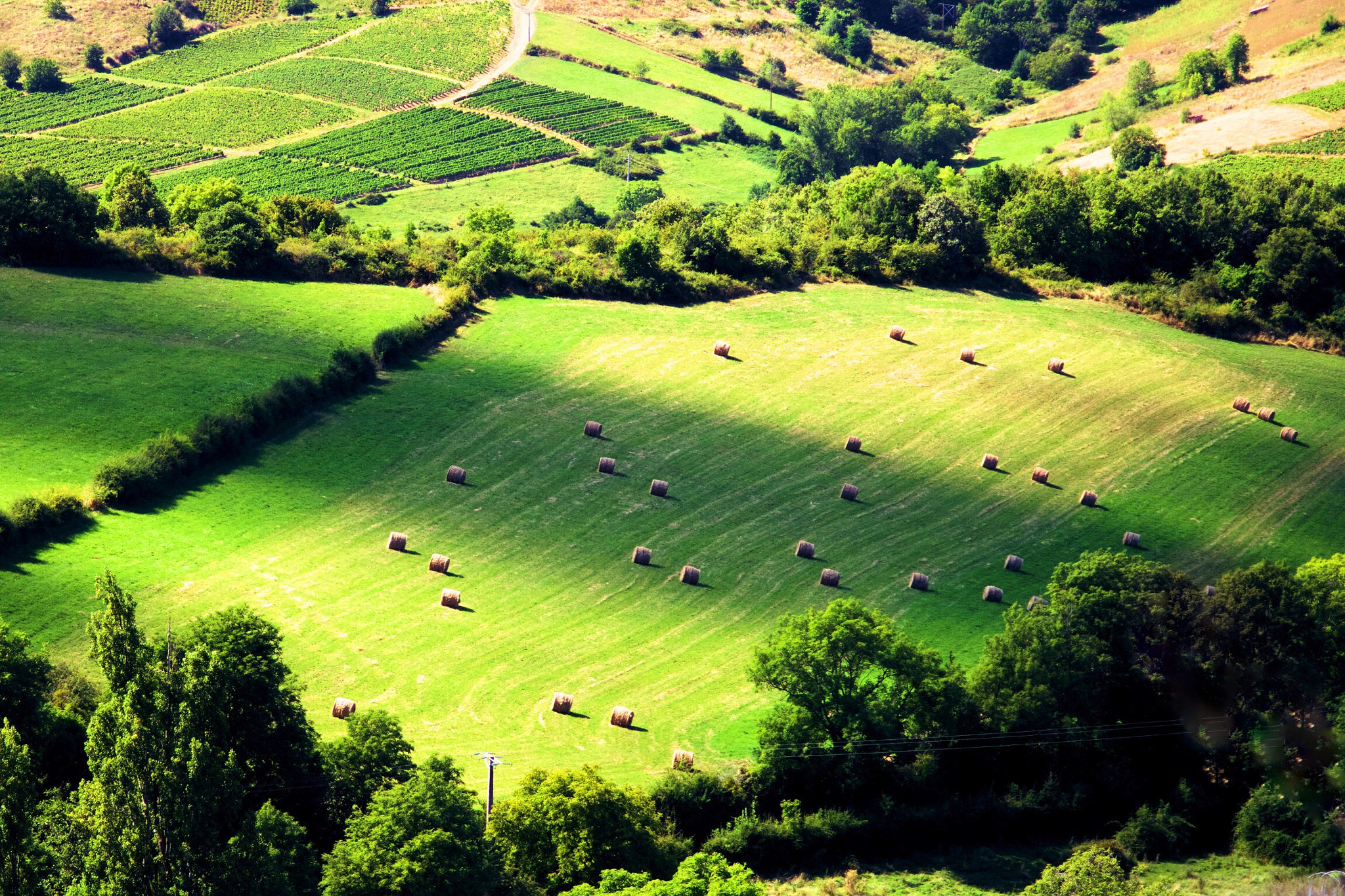 Canon EF 24-105mm F3.5-5.6 IS STM sample photo. Oingt area in france photography