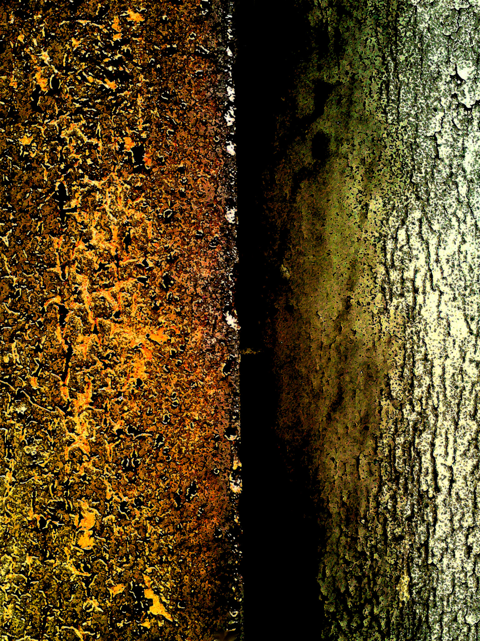 Sony Ericsson W995 sample photo. Metal and wood 3 photography